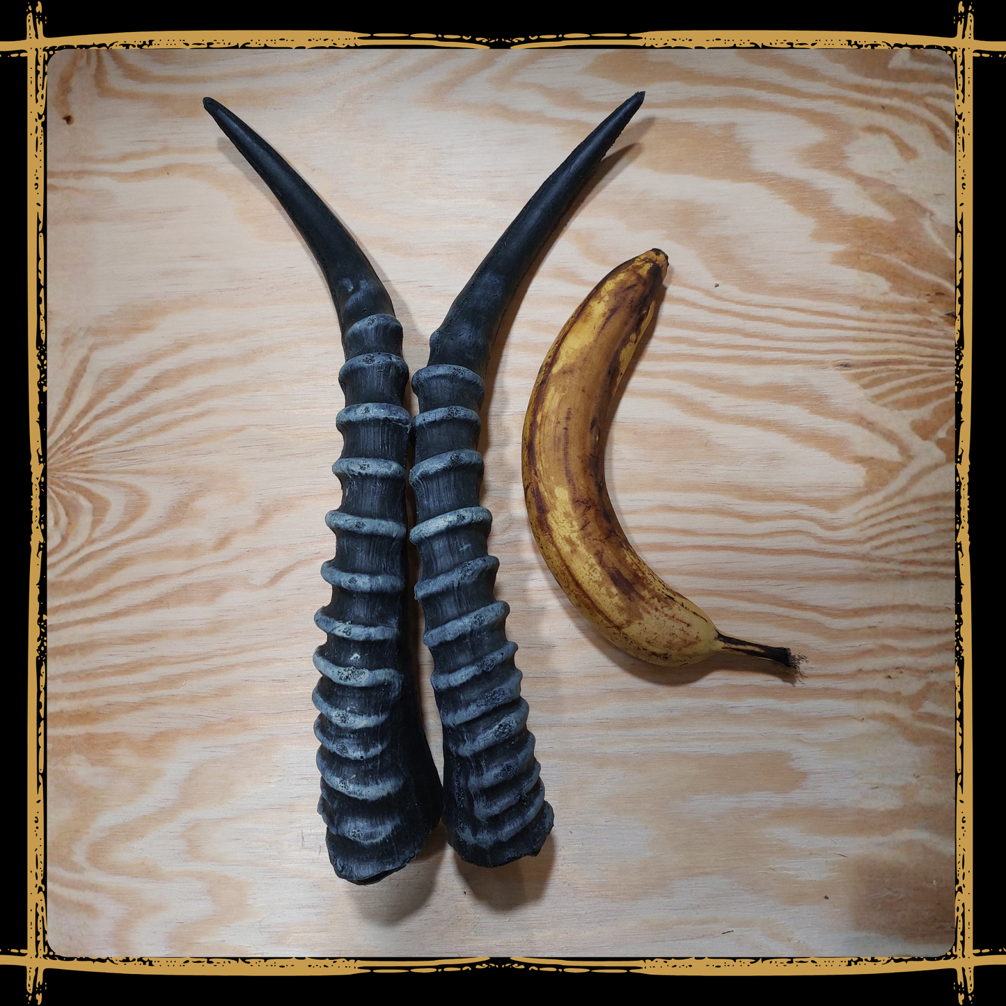 Horns Antelope