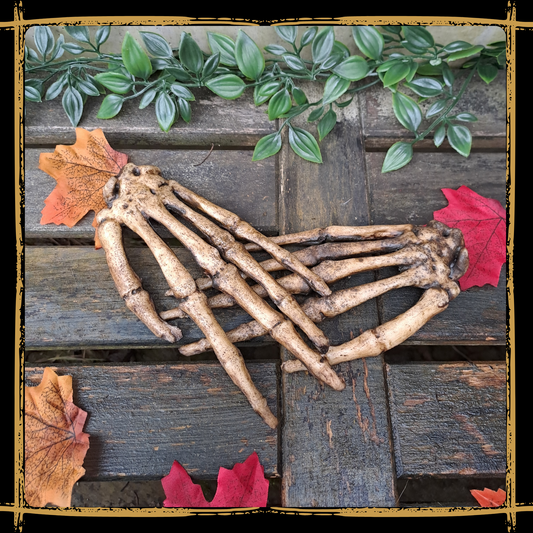 Human Skeleton Hands