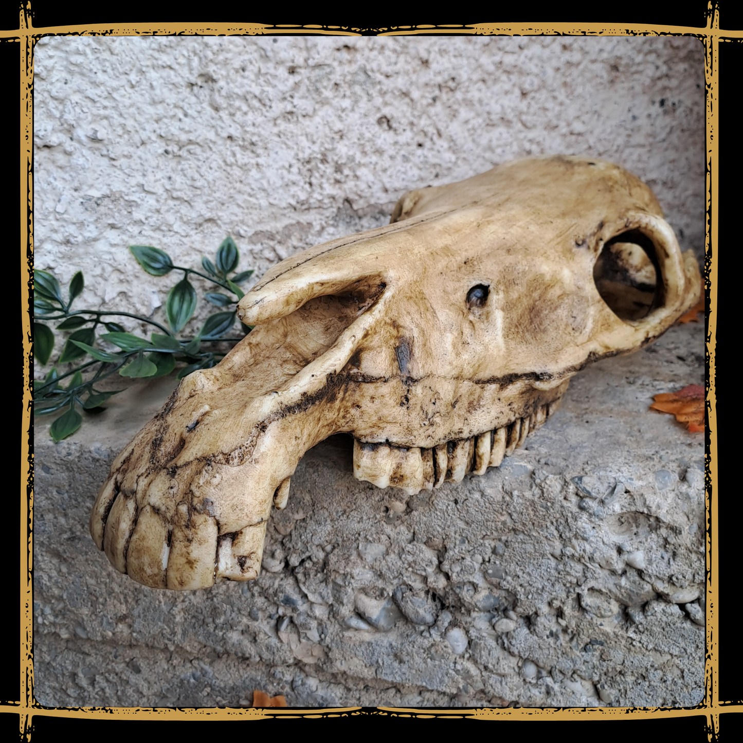 Skull Horse