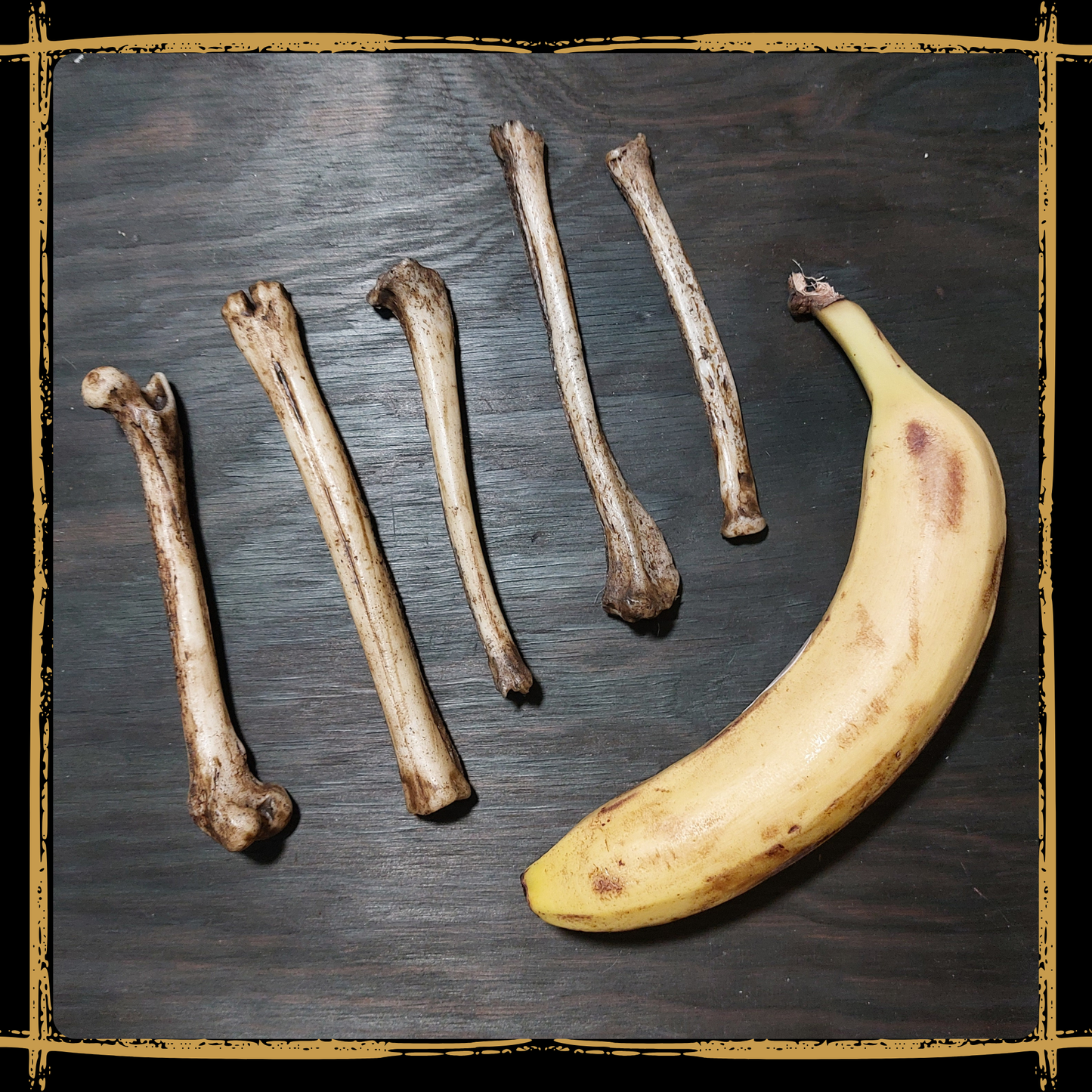 Set Of Small Bones