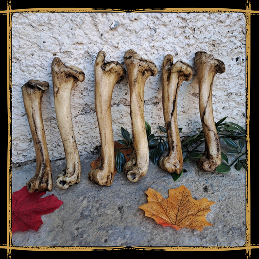 Set Of Medium Bones