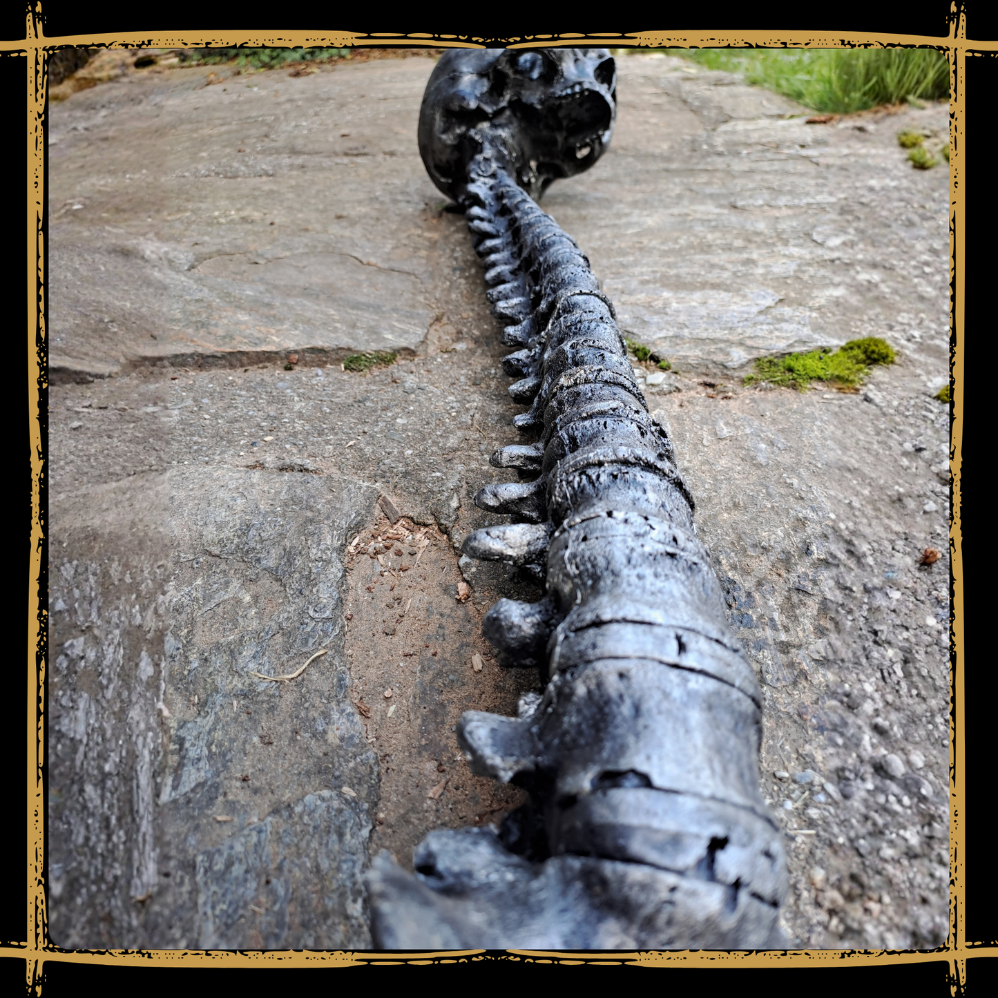 Metal Hunter's Trophy