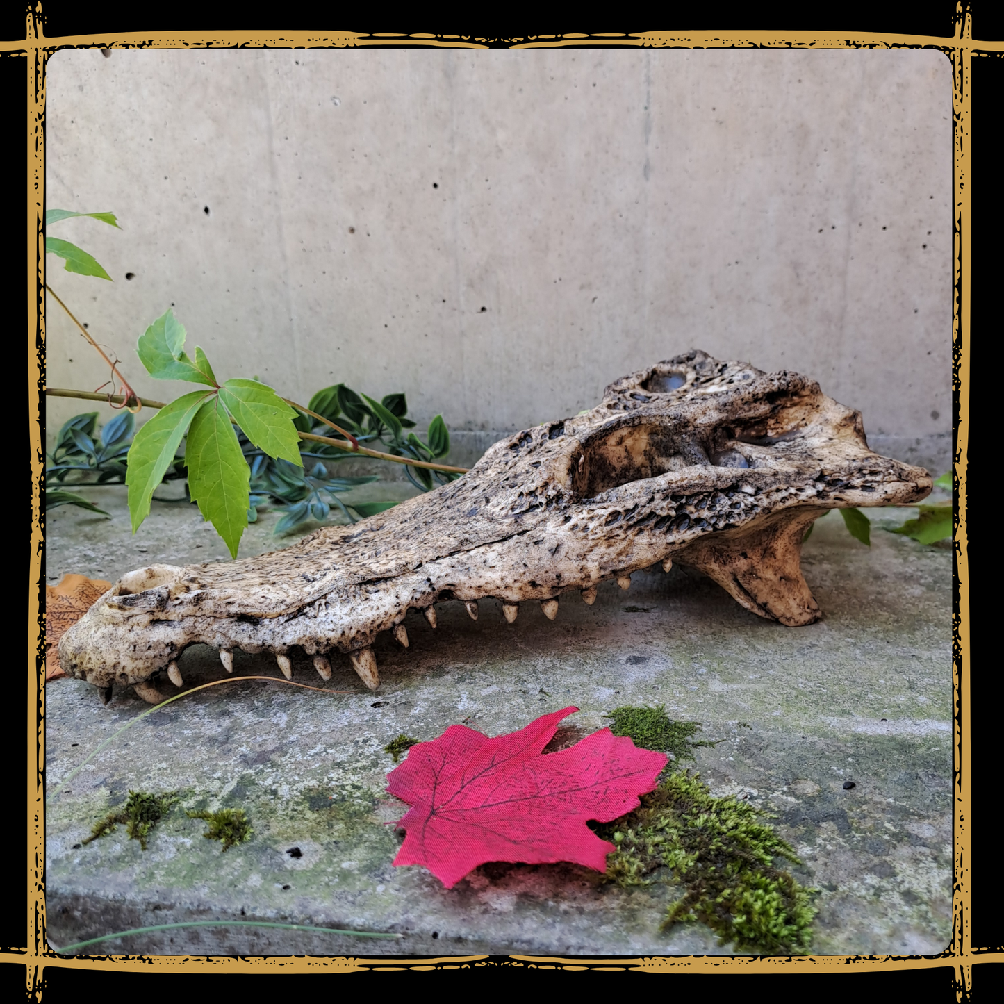 Skull Crocodile