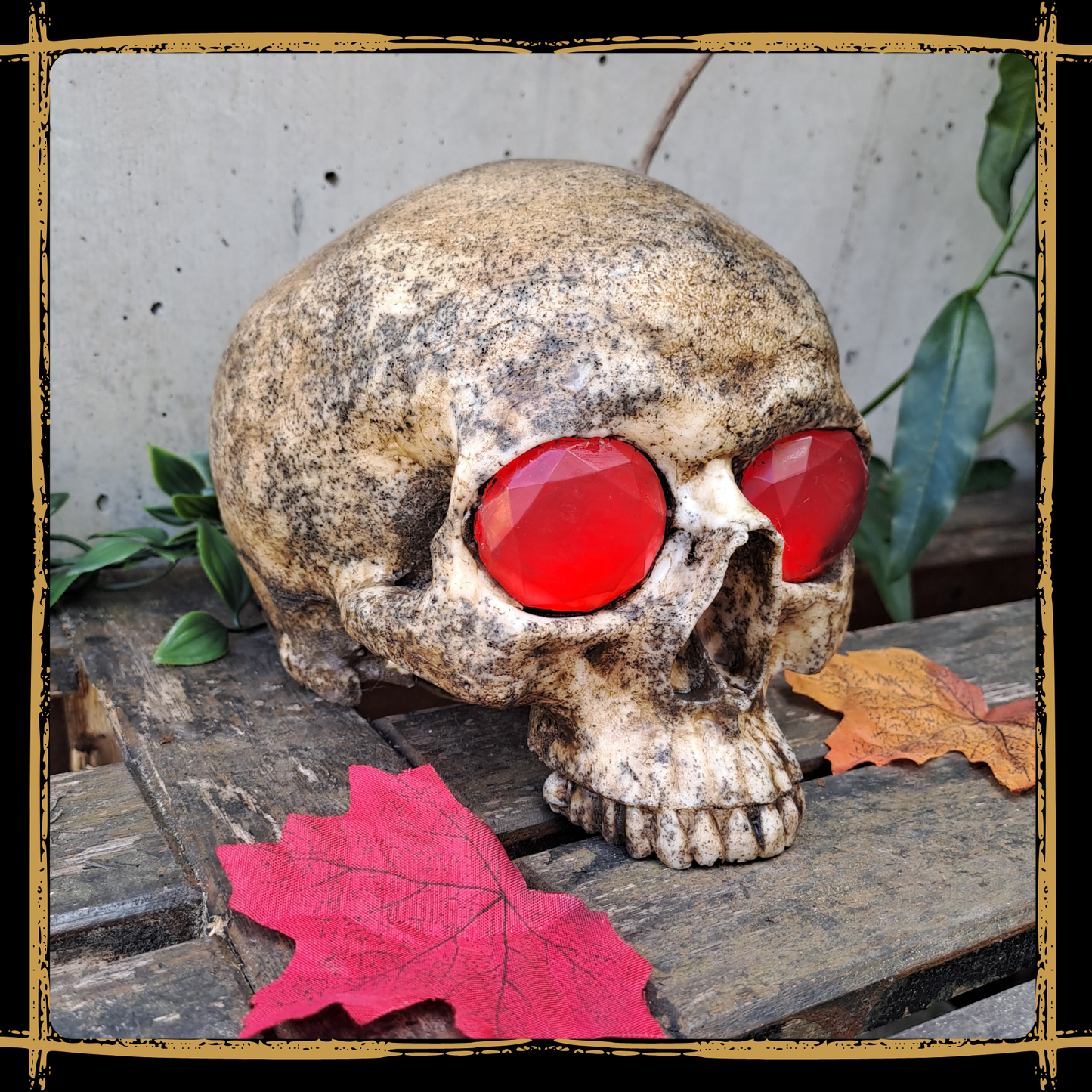 Cursed Skull