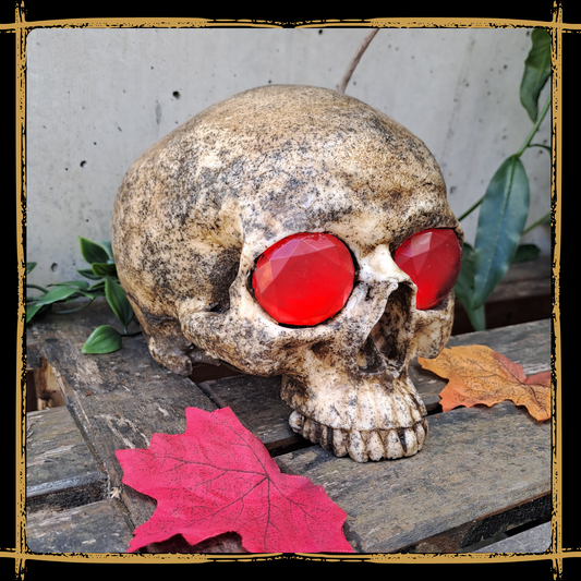 Cursed Skull