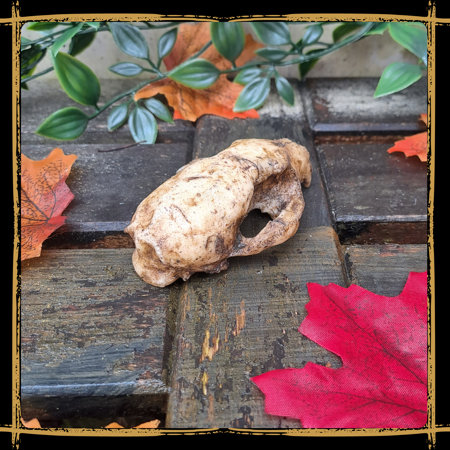 Skull Marten