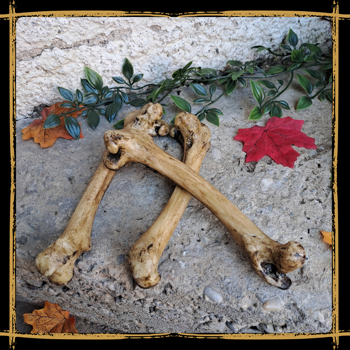 Set Of Big Bones