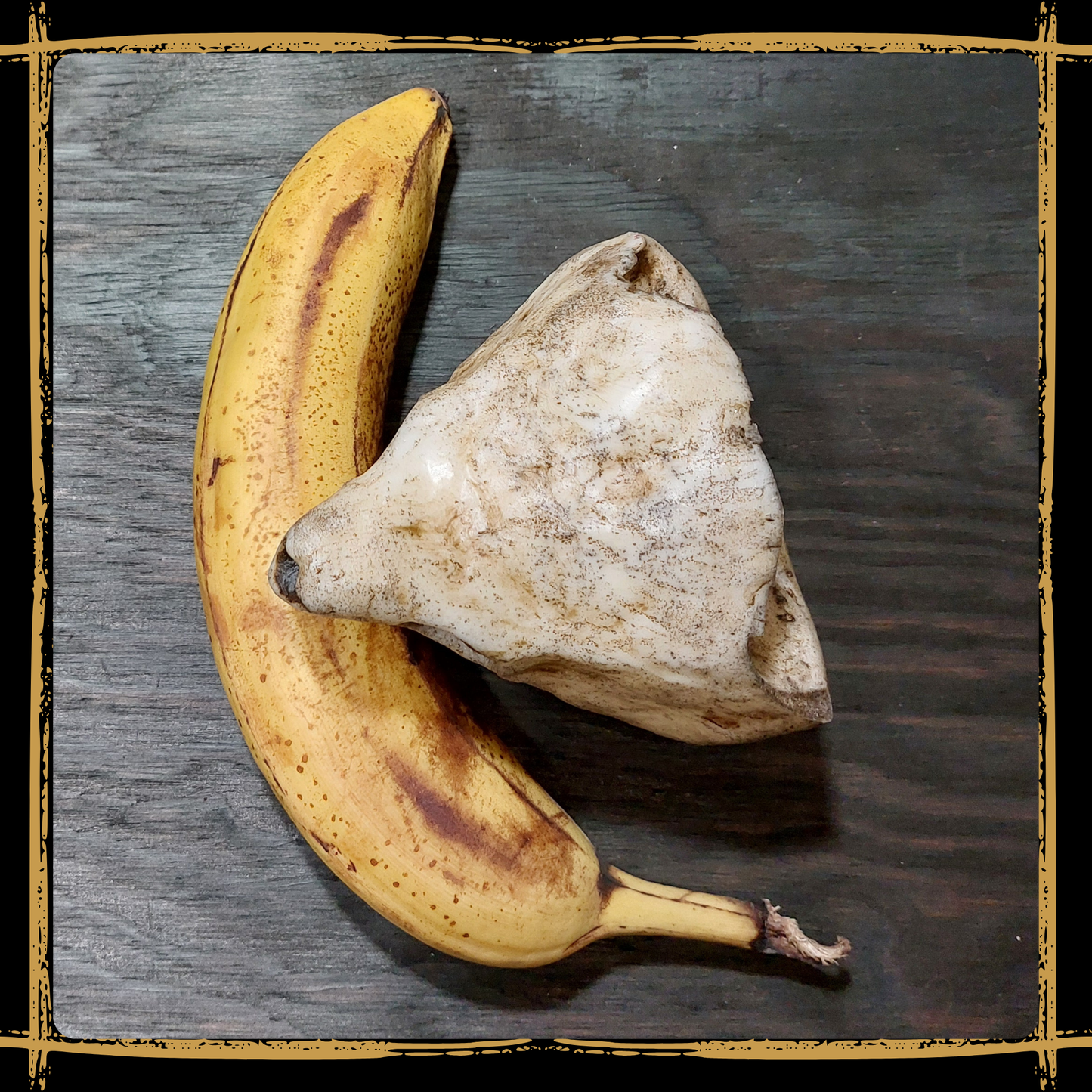 Skull Snapping Turtle