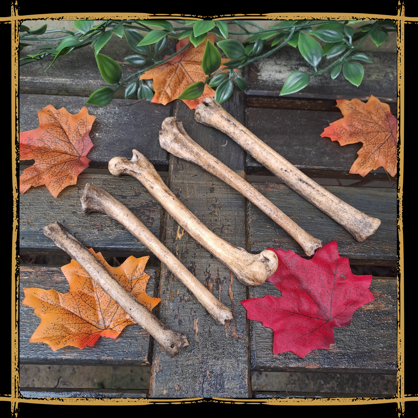 Set Of Small Bones