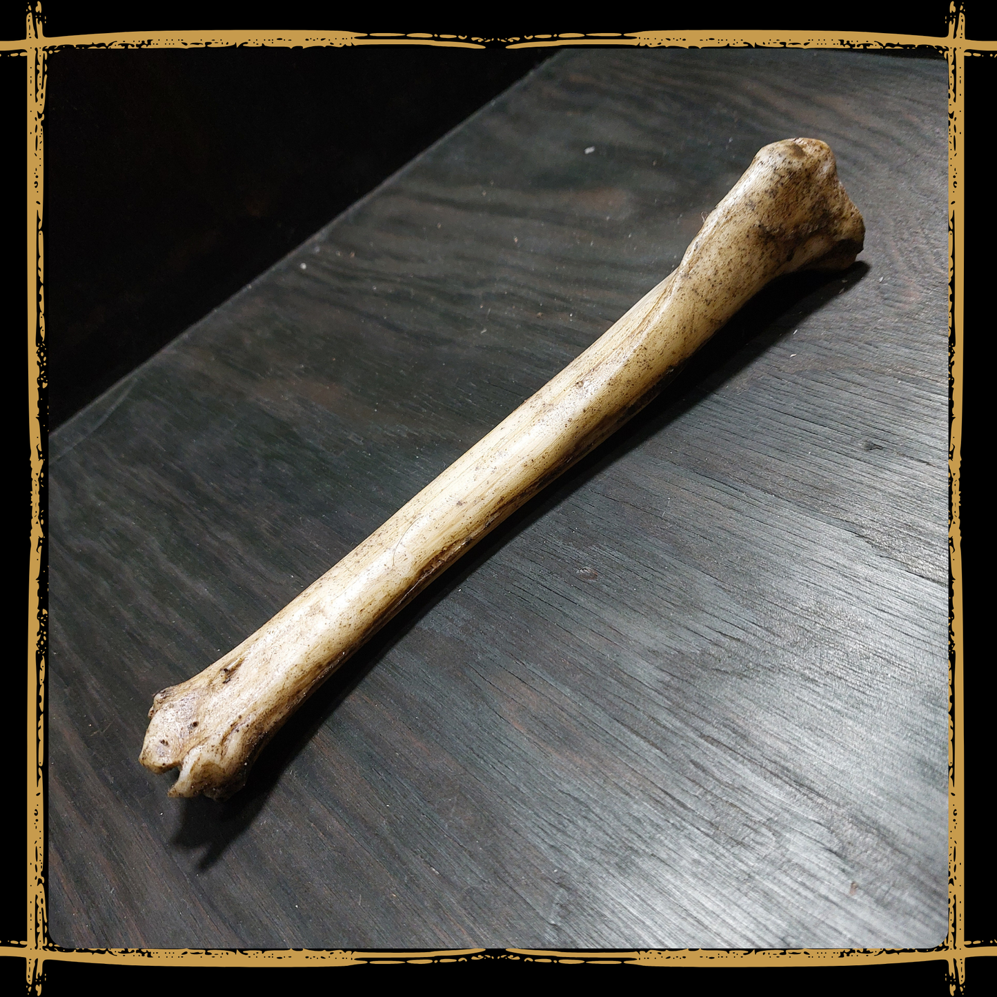Bone Medium