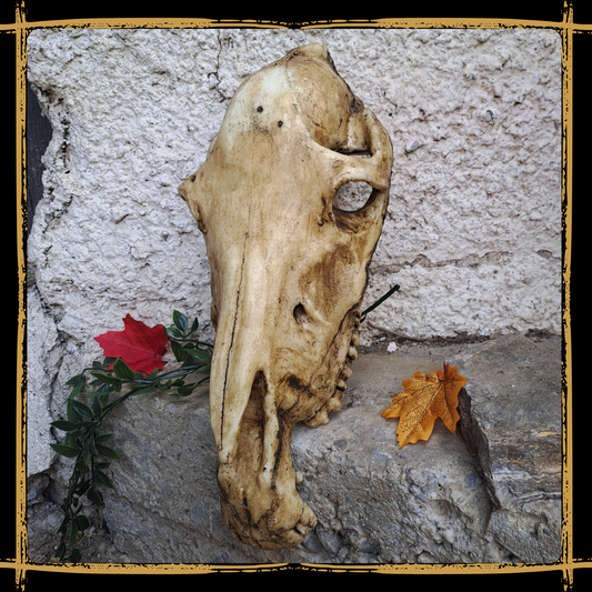 Skull Horse
