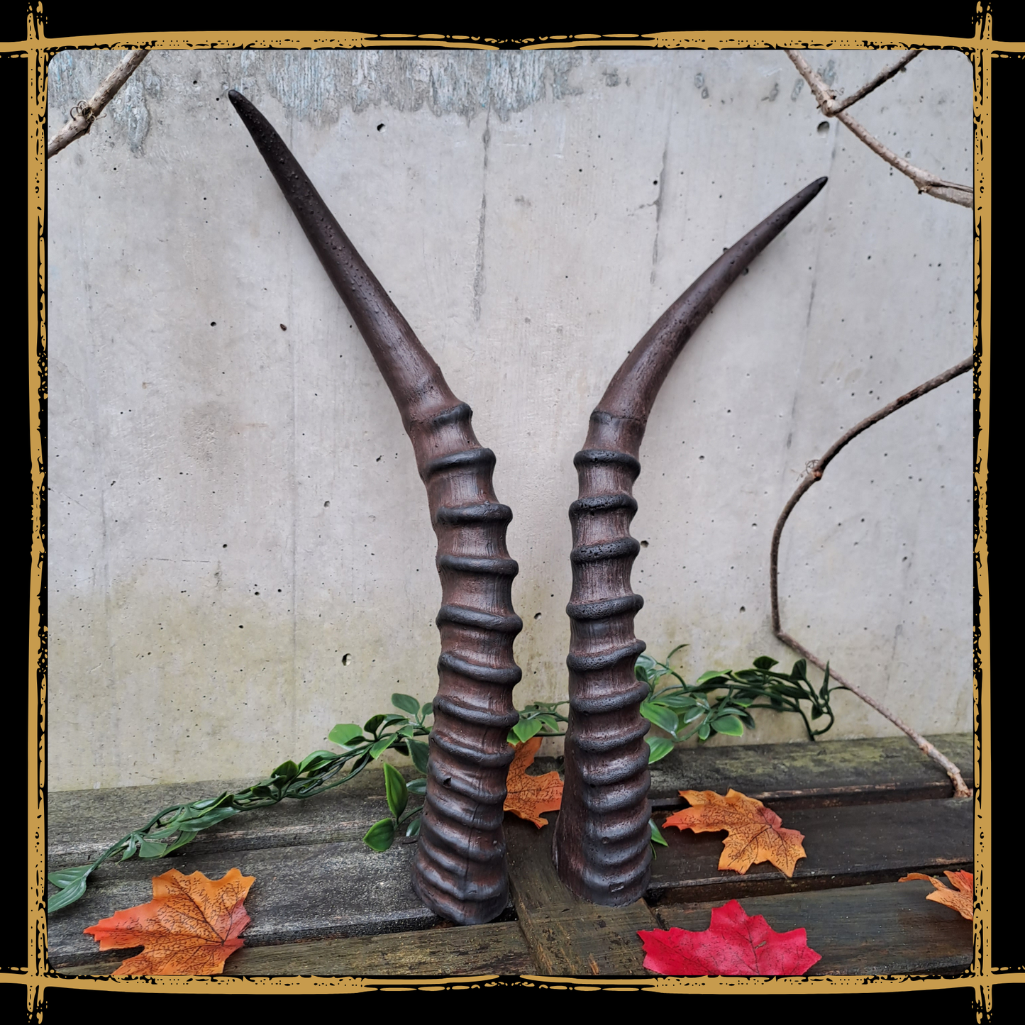 Horns Antelope