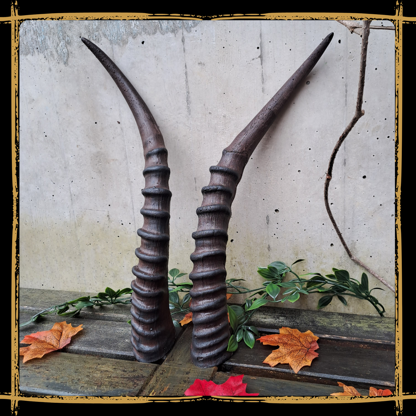 Horns Antelope