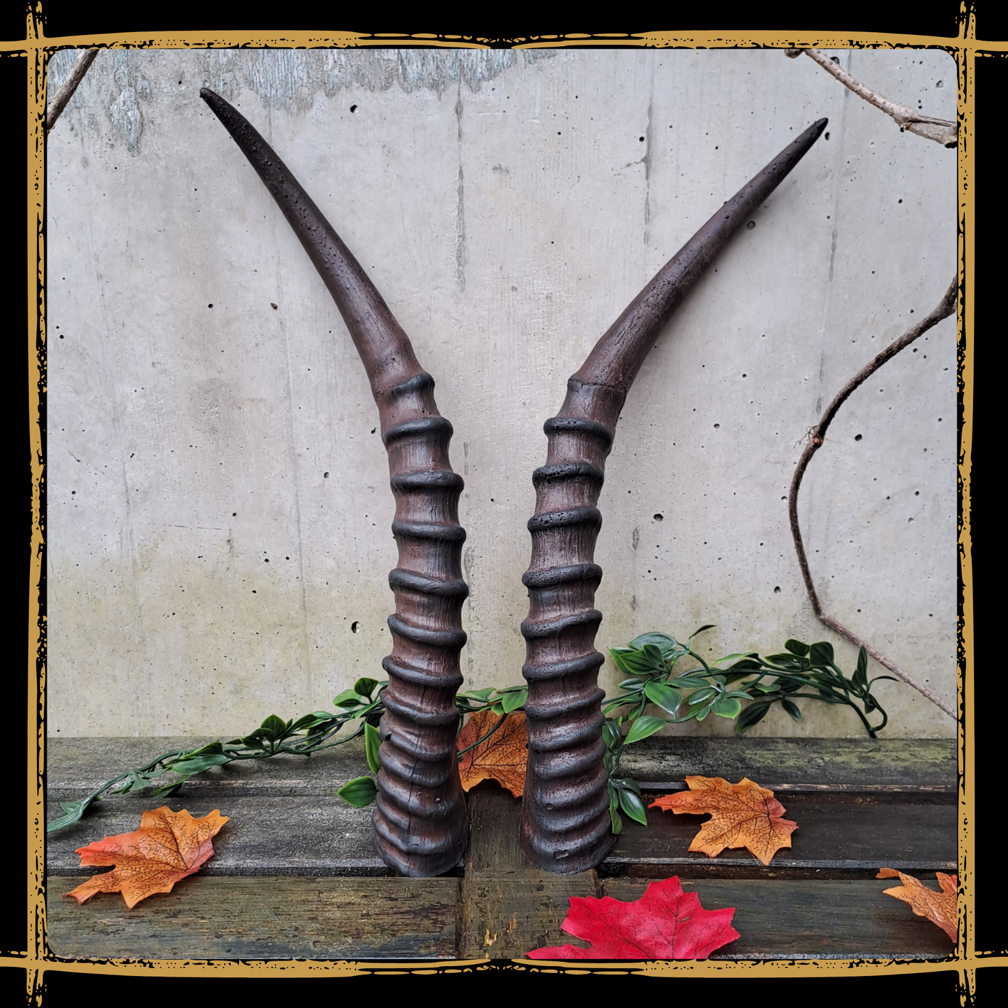 Horns Antelope
