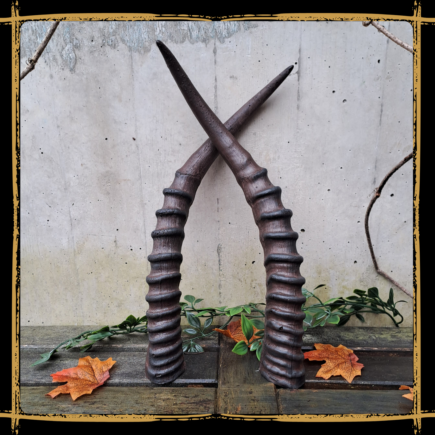 Horns Antelope