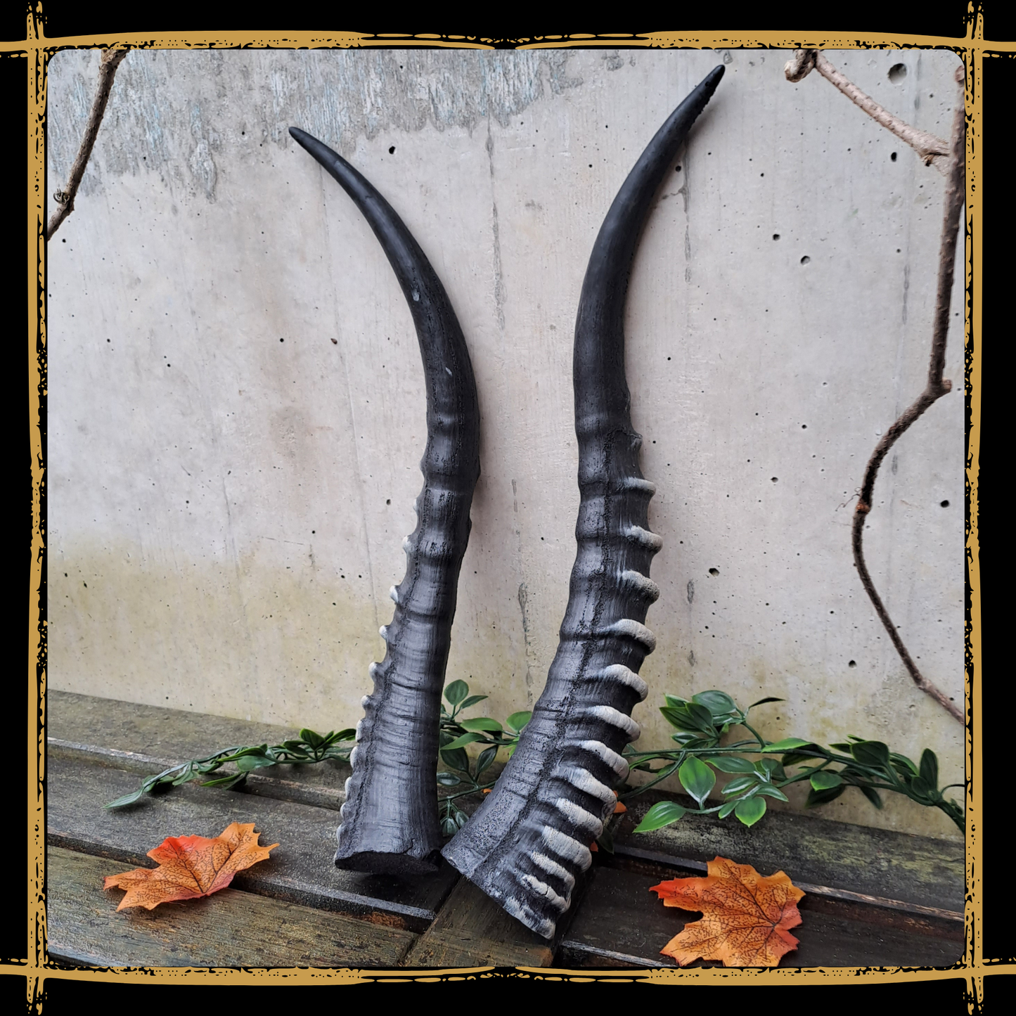 Horns Antelope