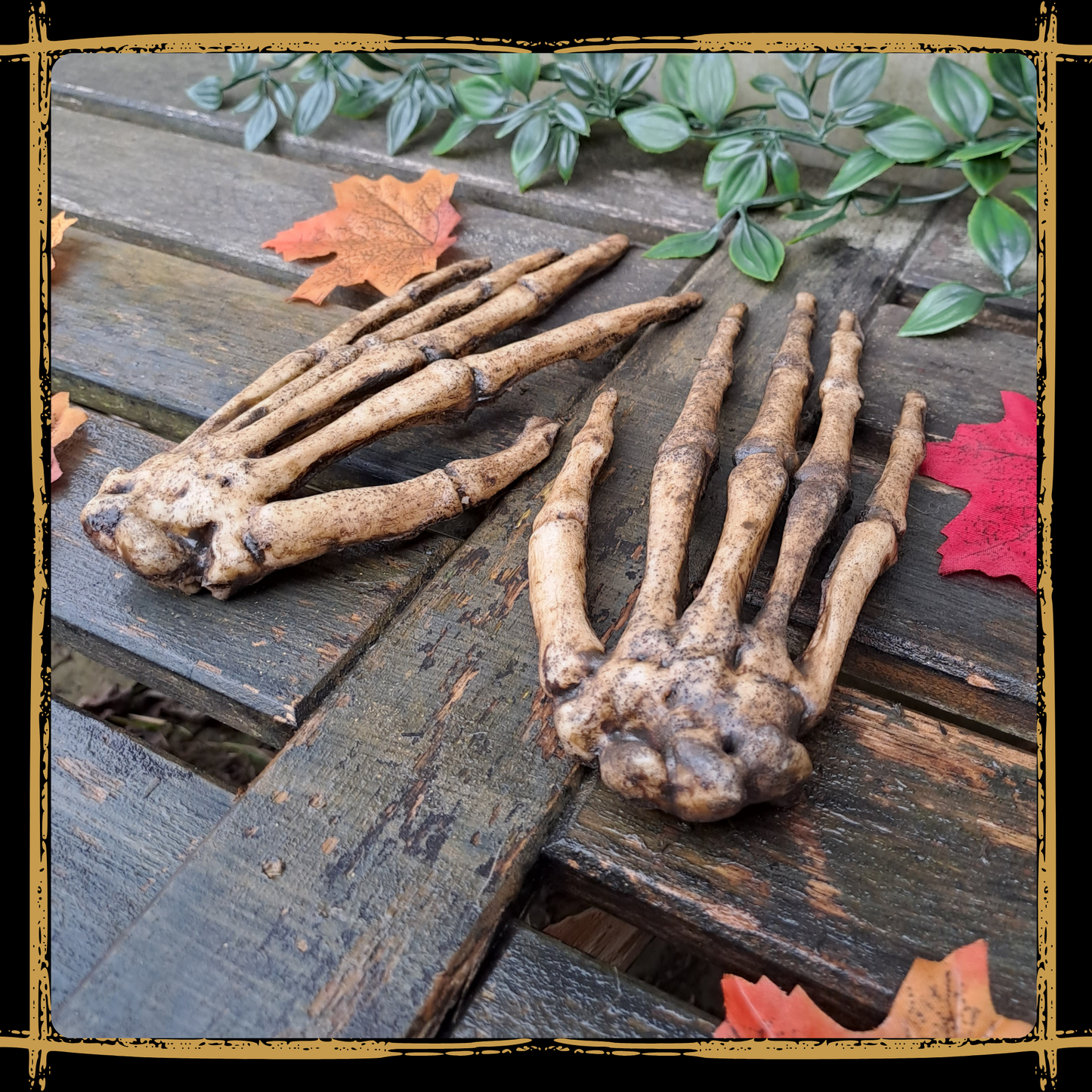 Human Skeleton Hands