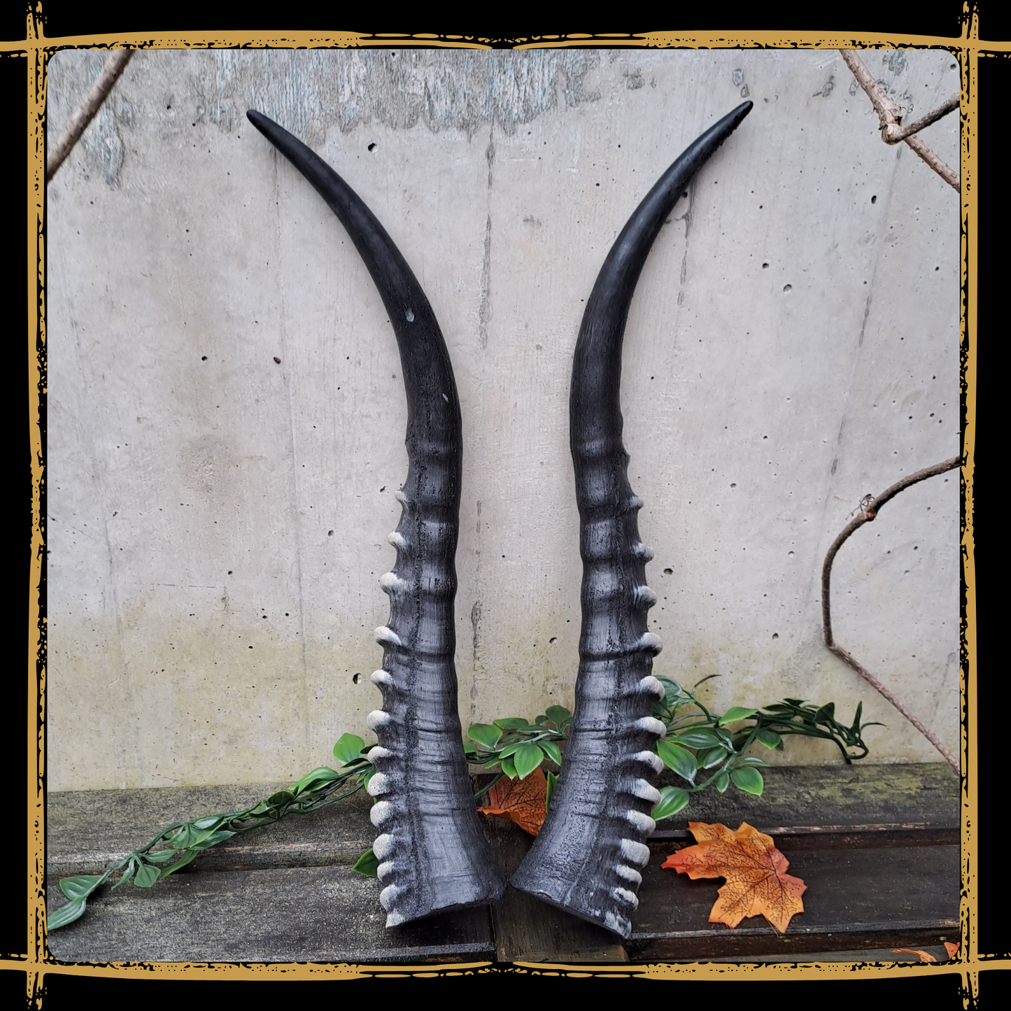 Horns Antelope