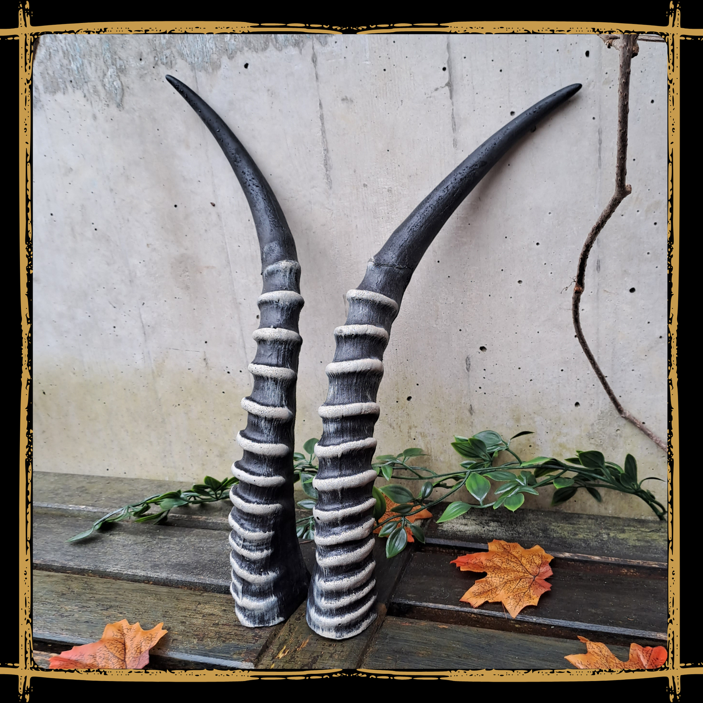 Horns Antelope