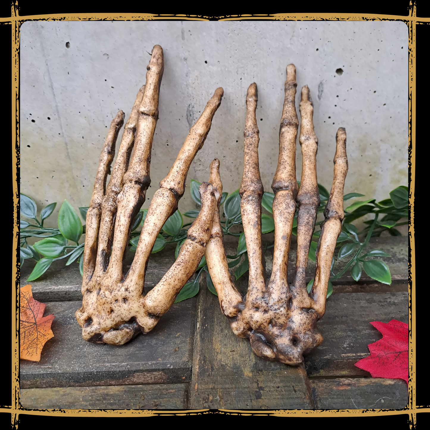 Human Skeleton Hands