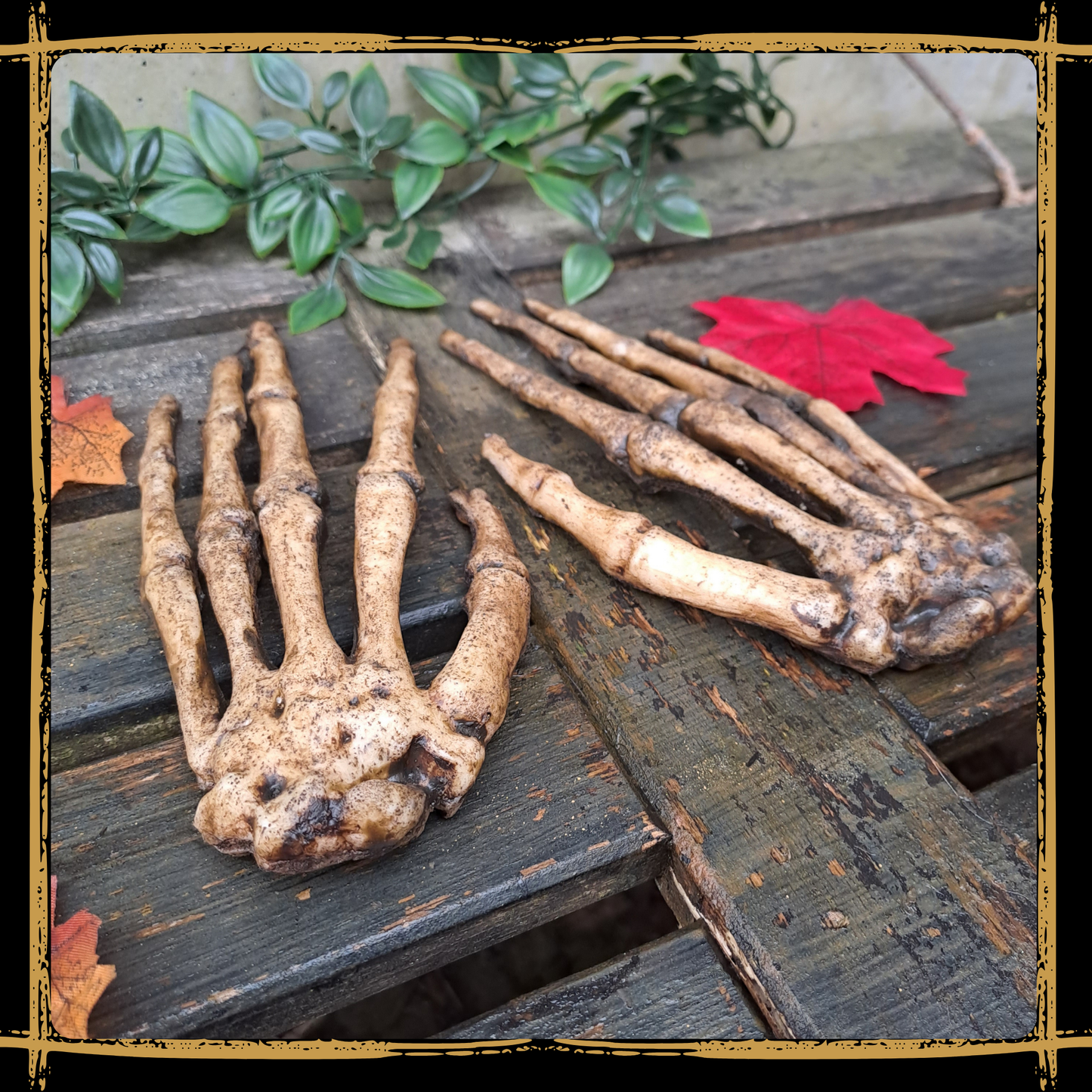 Human Skeleton Hands