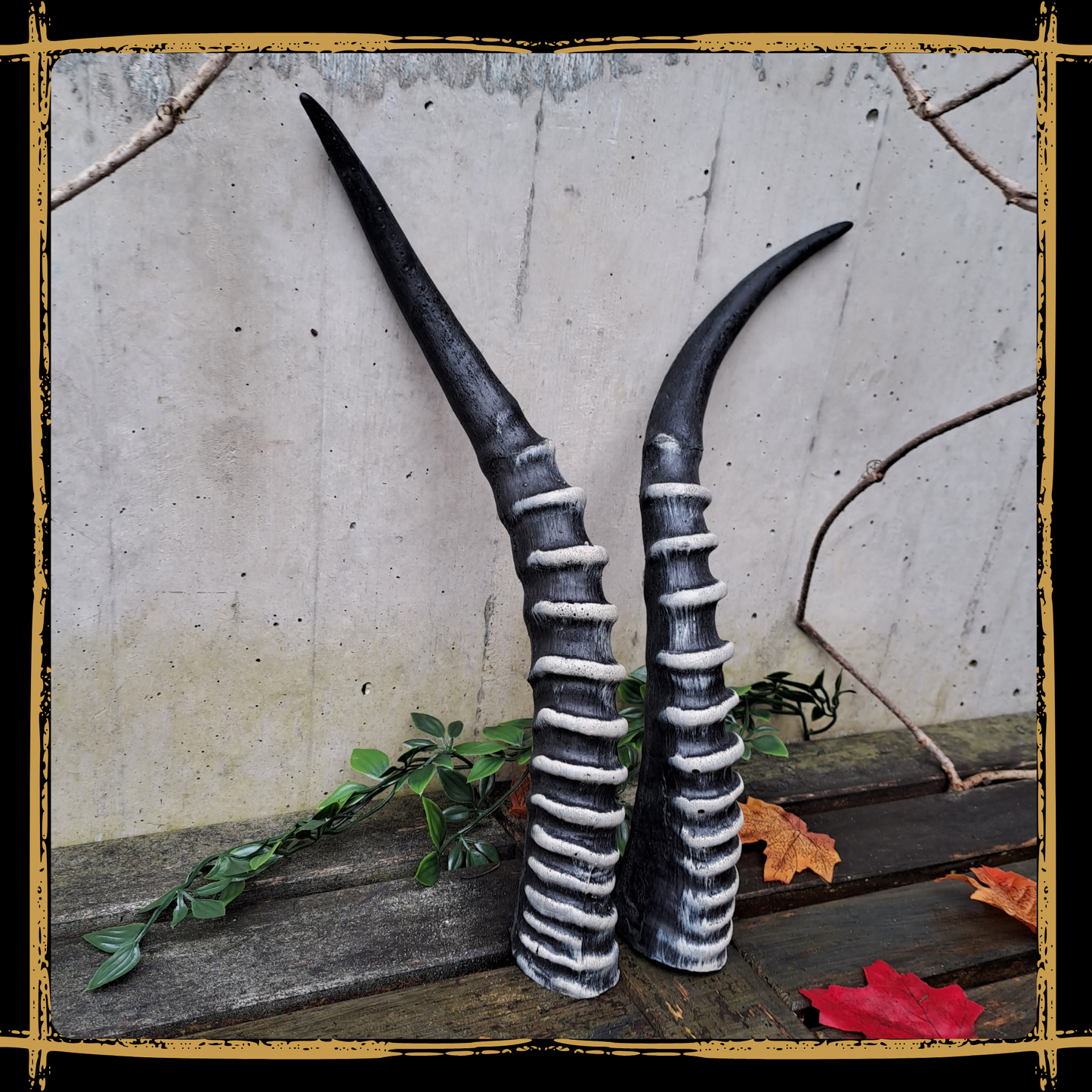 Horns Antelope