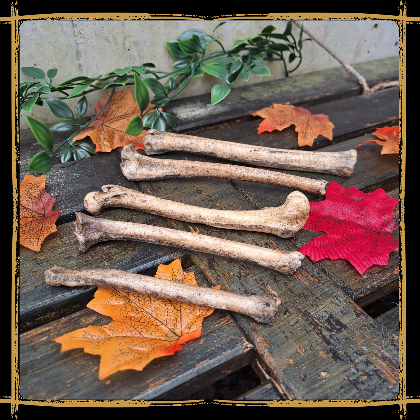 Set Of Small Bones