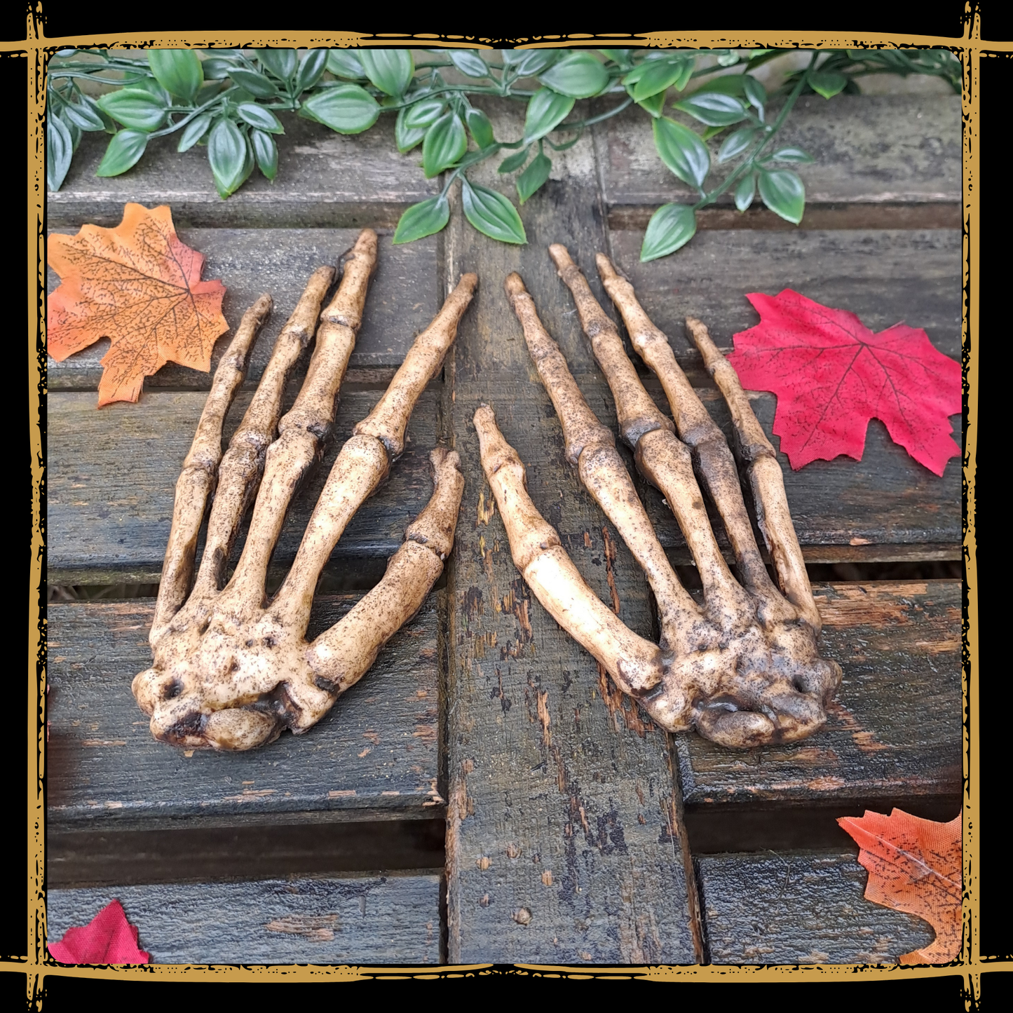 Human Skeleton Hands