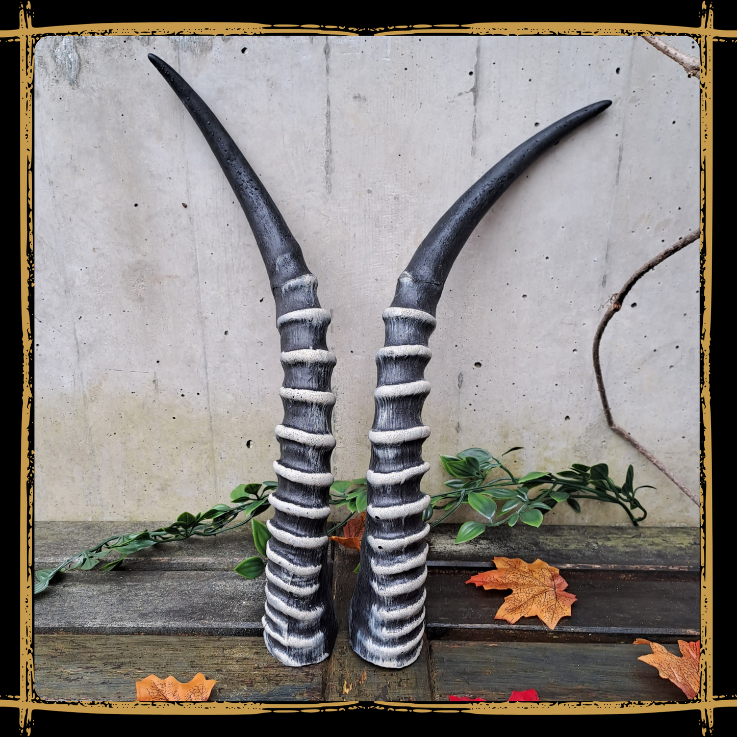 Horns Antelope