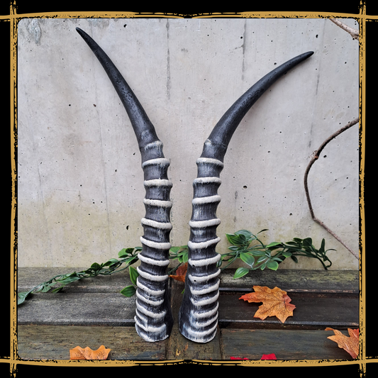 Horns Antelope