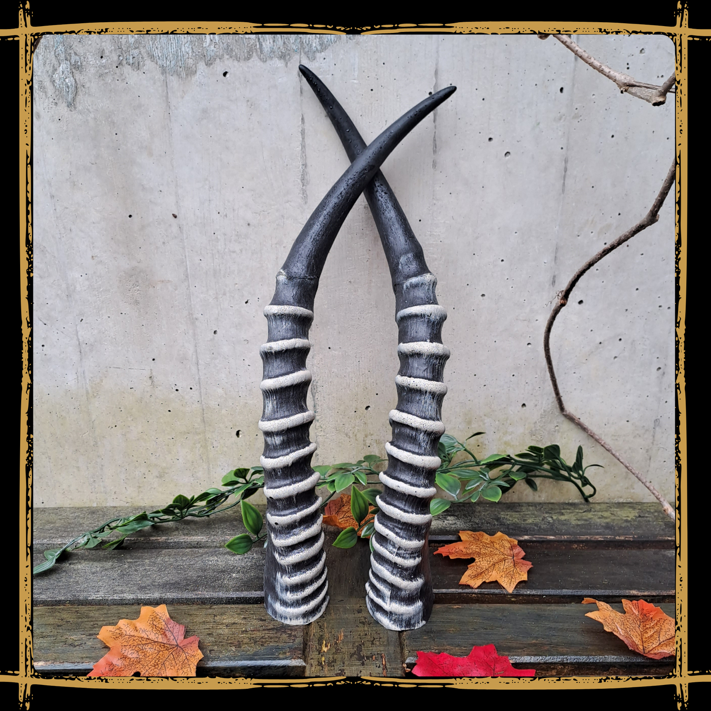 Horns Antelope