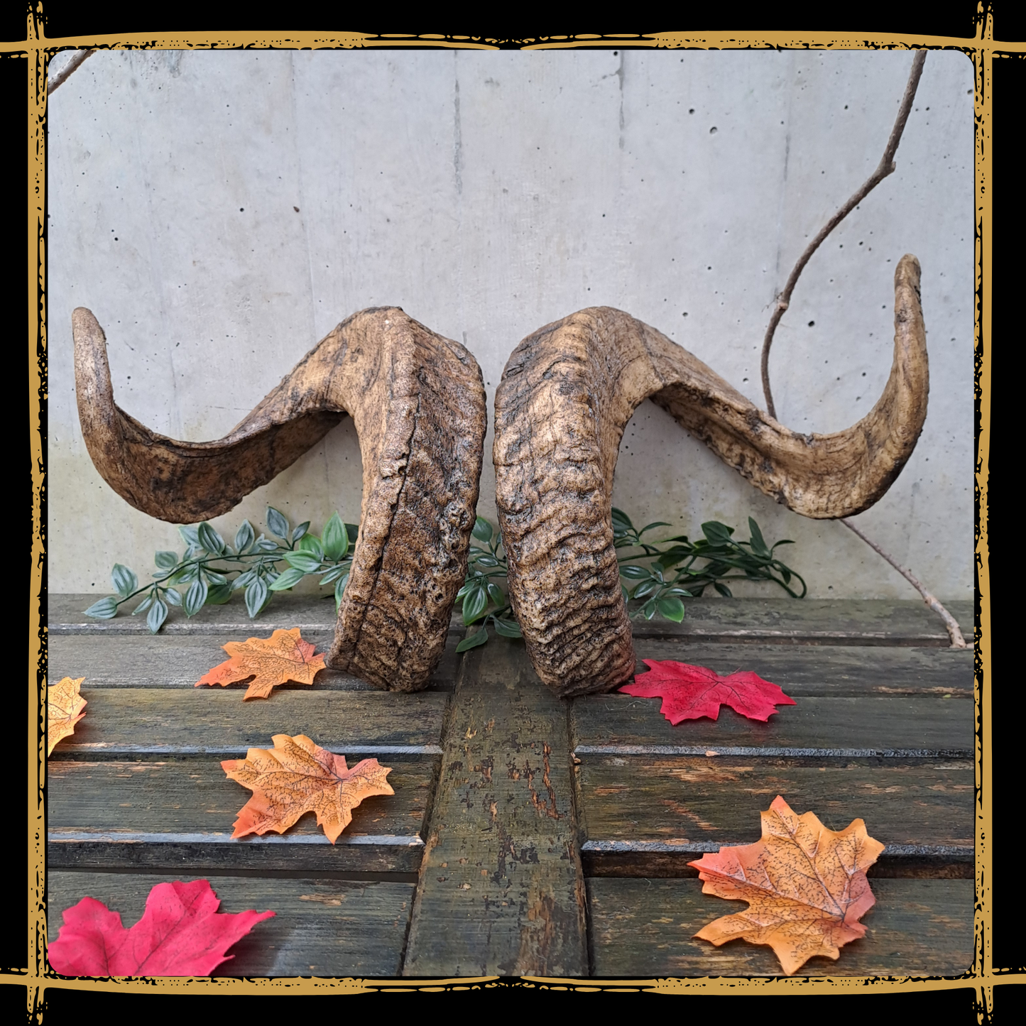 Horns Ram