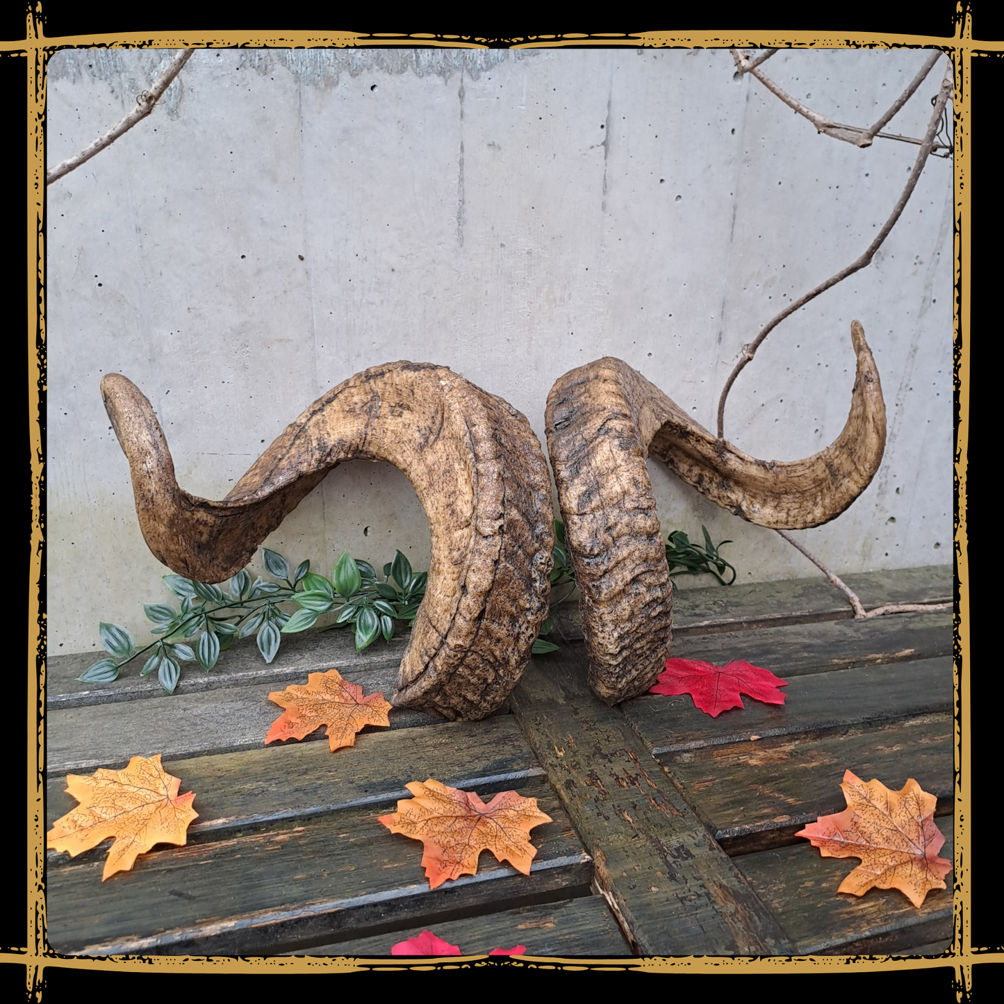 Horns Ram
