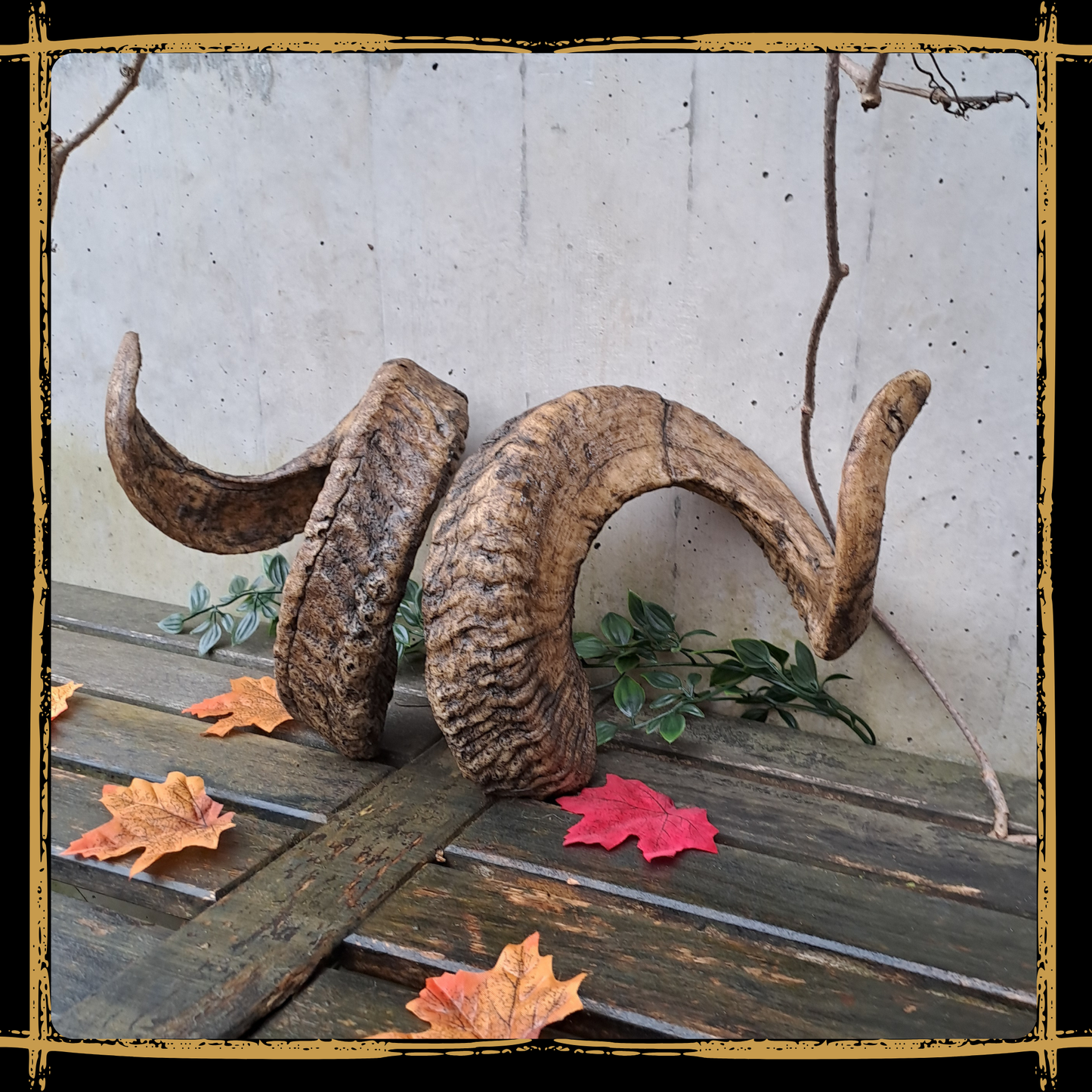 Horns Ram