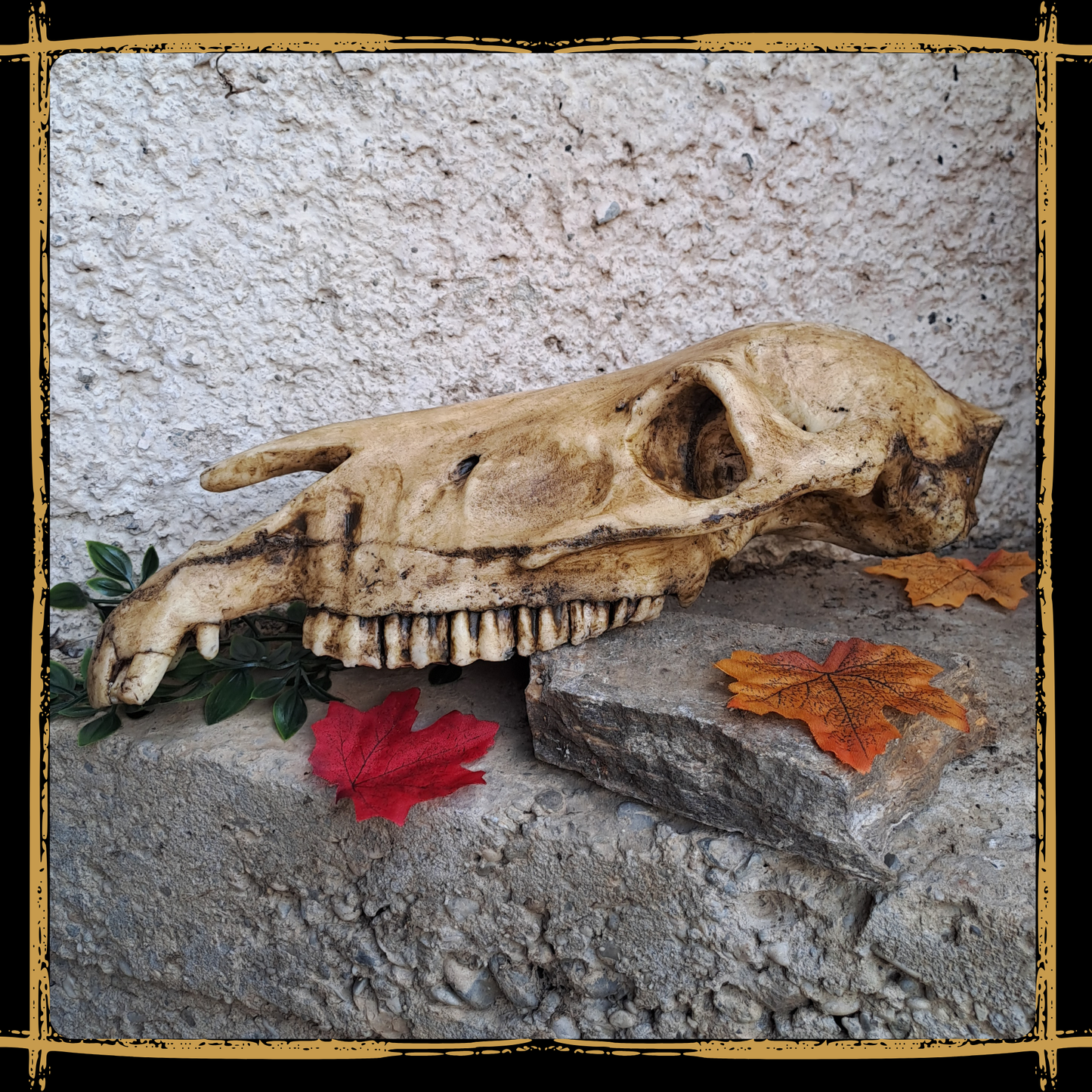 Skull Horse