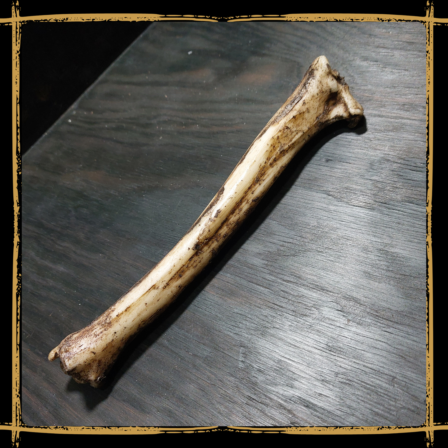 Bone Medium