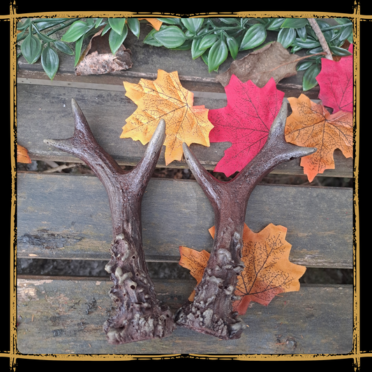 Deer's Antlers