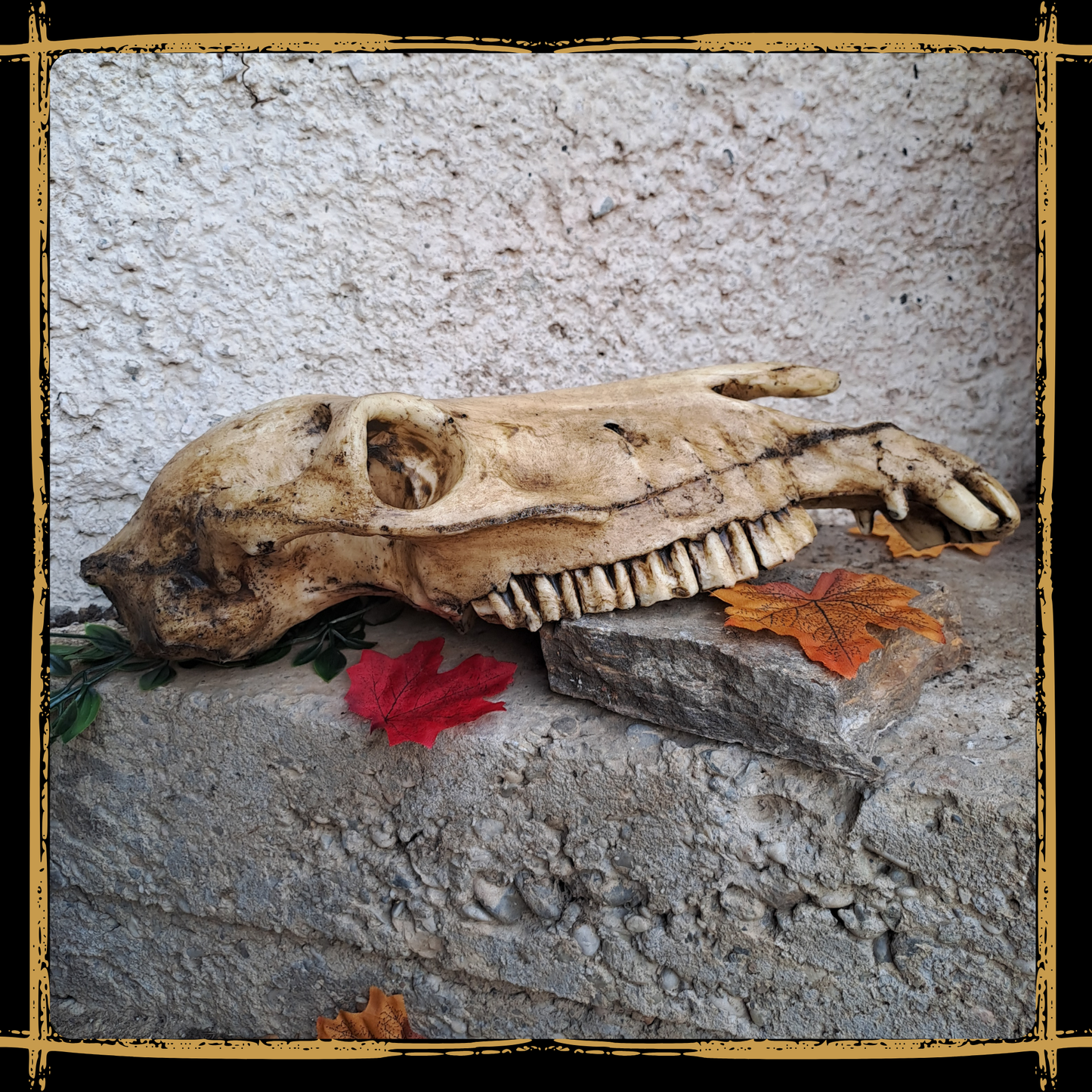 Skull Horse