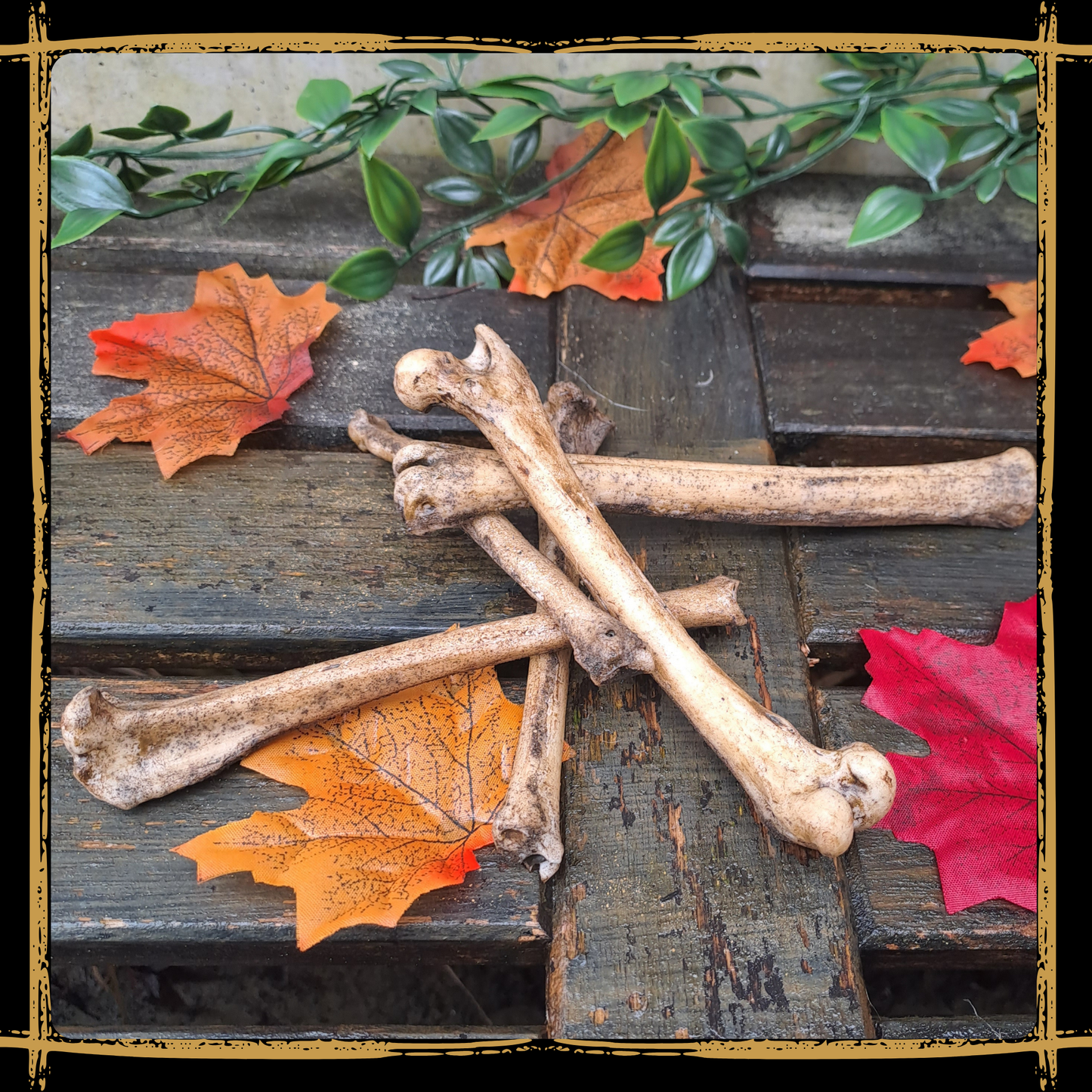 Set Of Small Bones