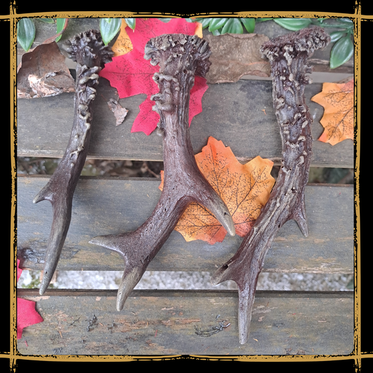 Deer's Antlers