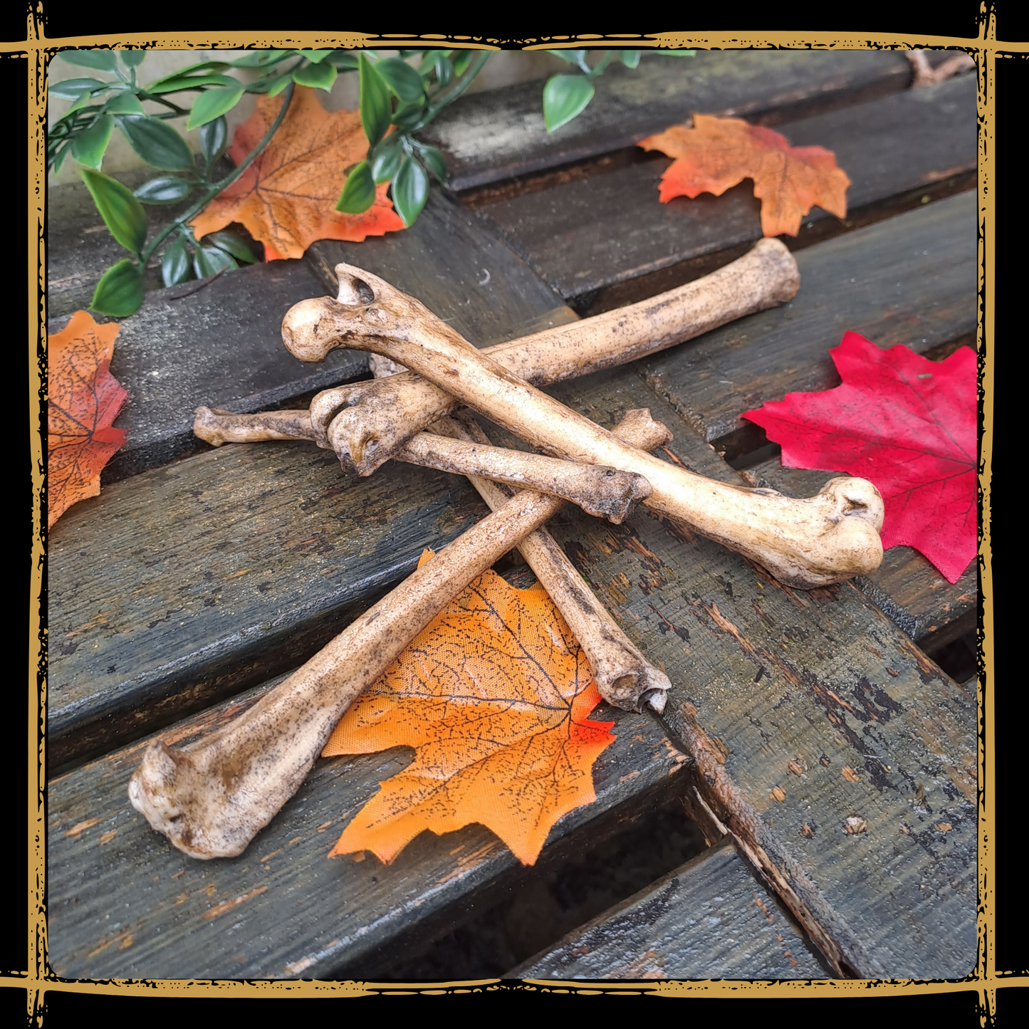 Set Of Small Bones