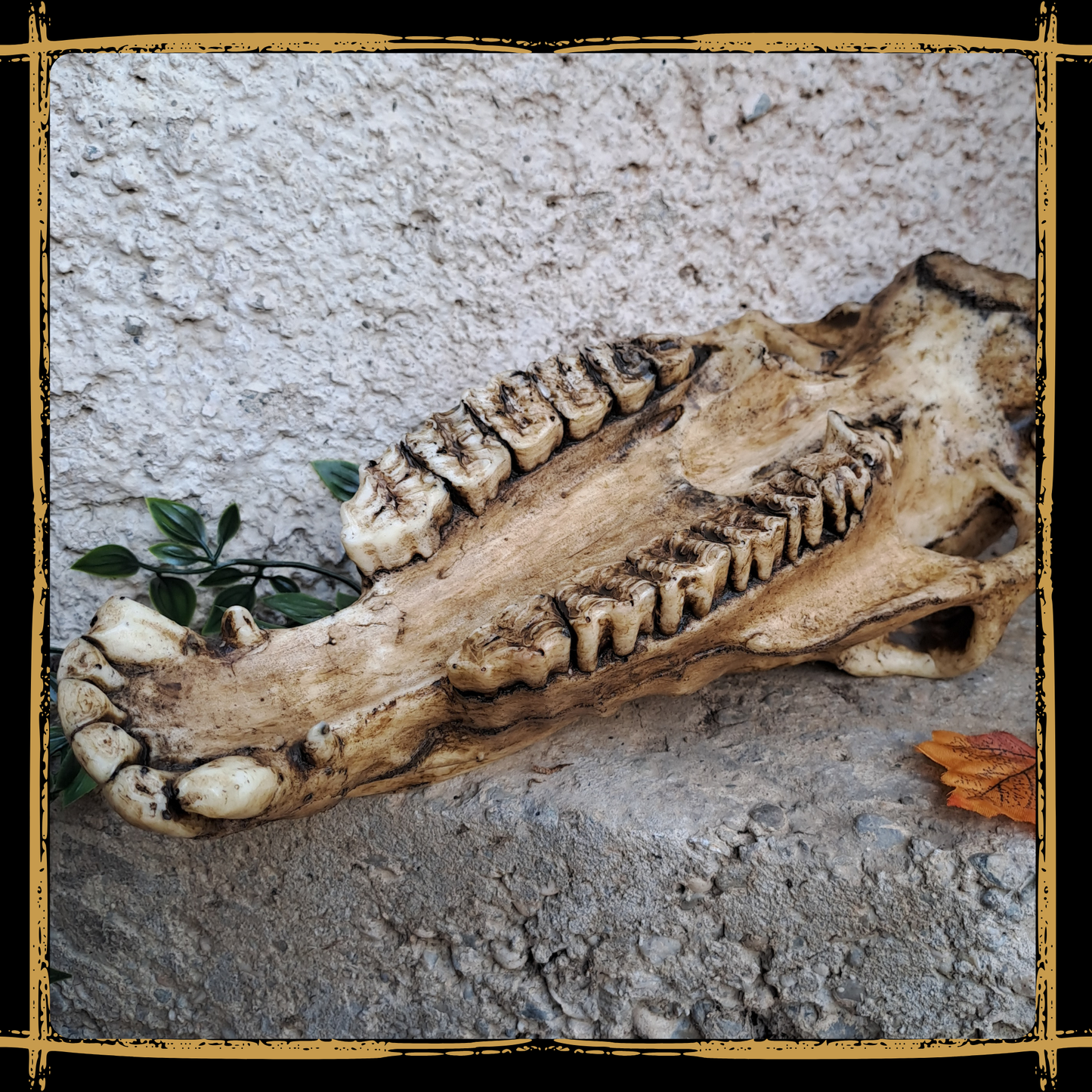 Skull Horse