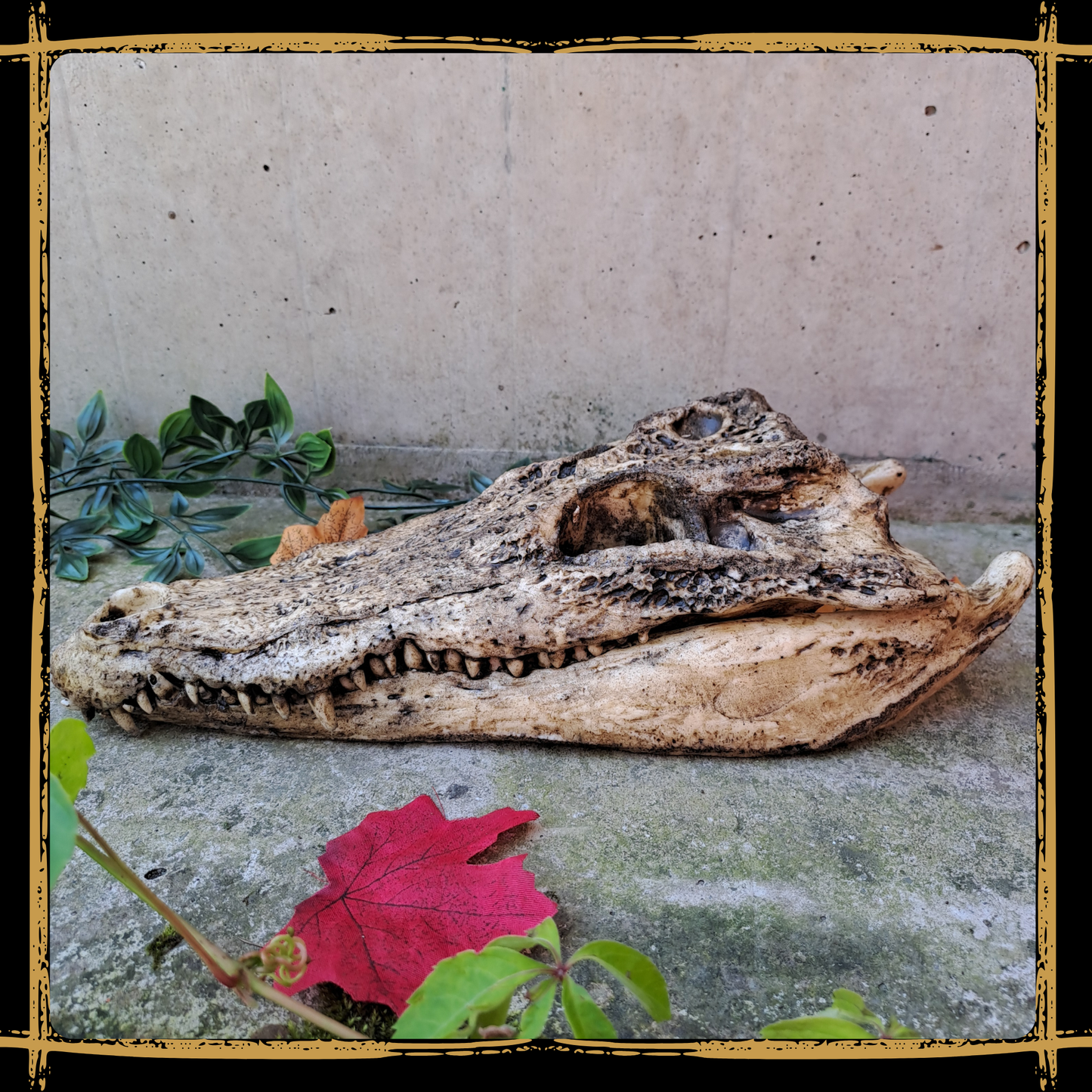 Skull Crocodile