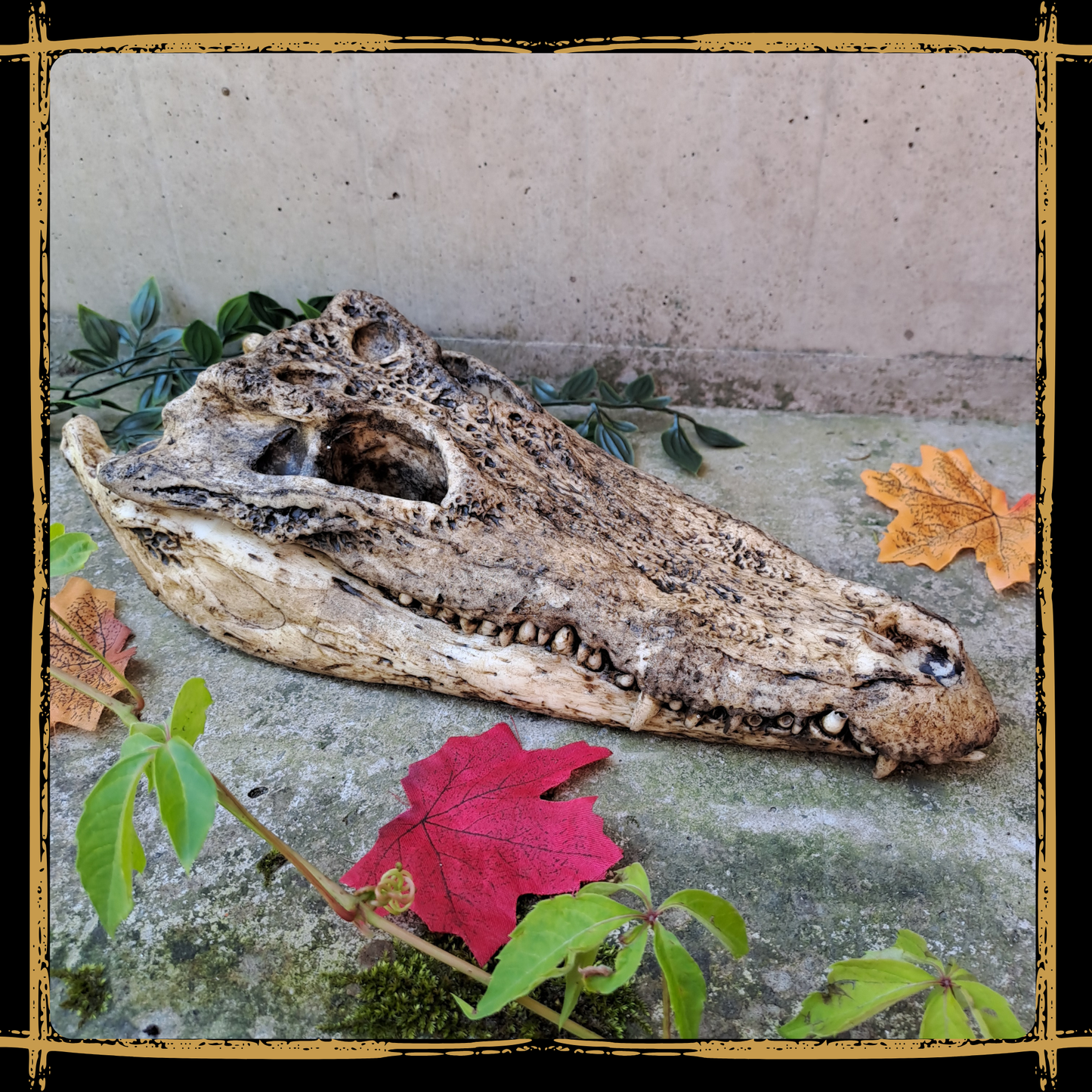 Skull Crocodile