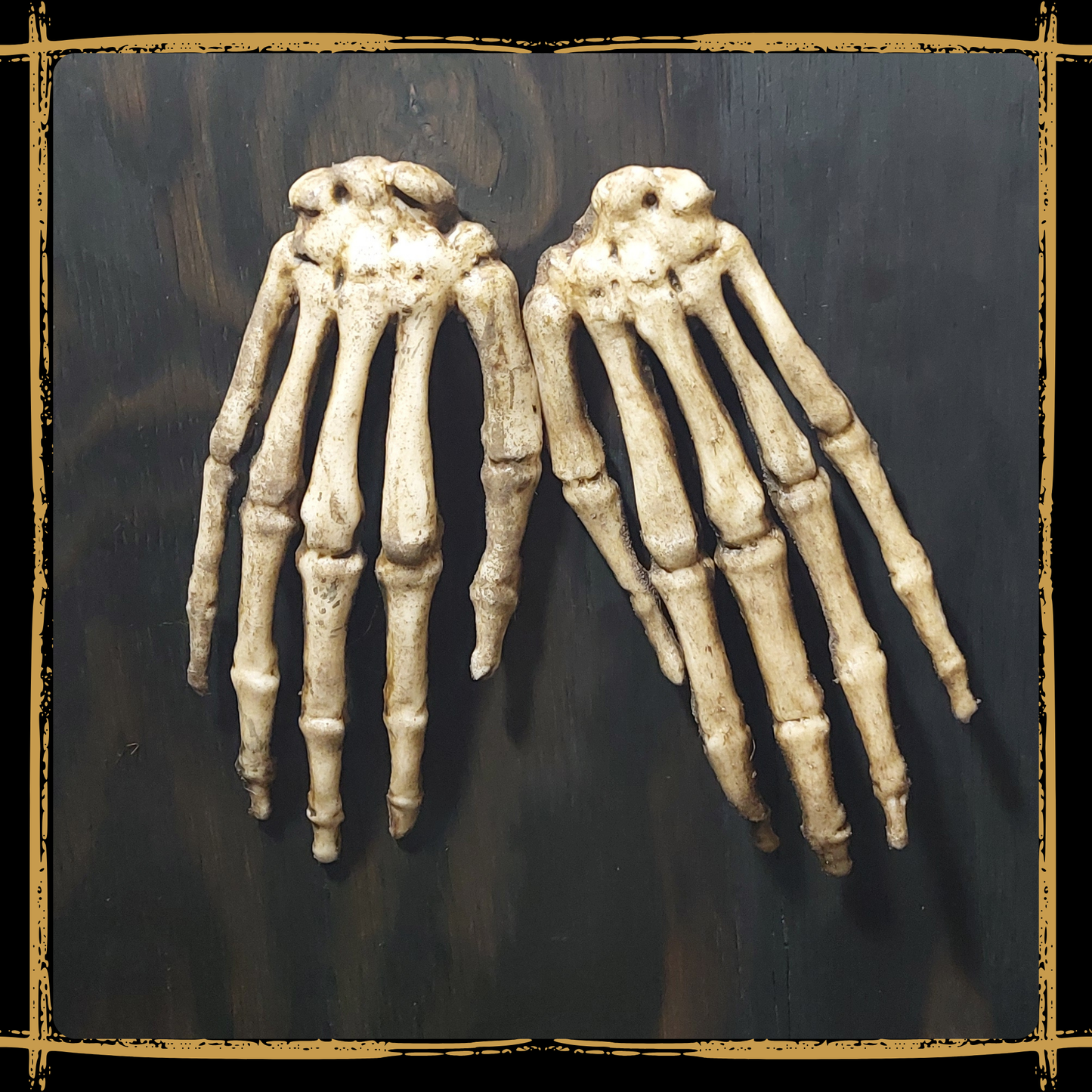 Human Skeleton Hands
