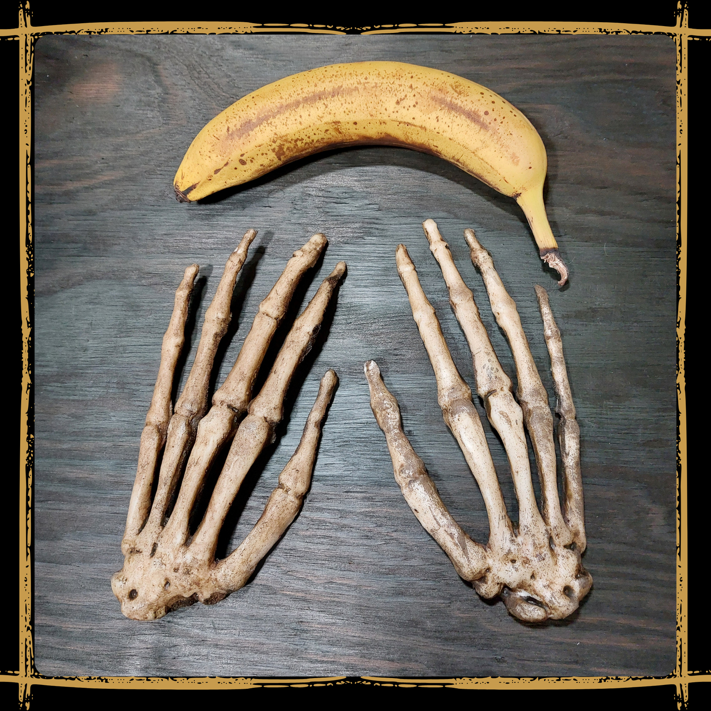 Human Skeleton Hands