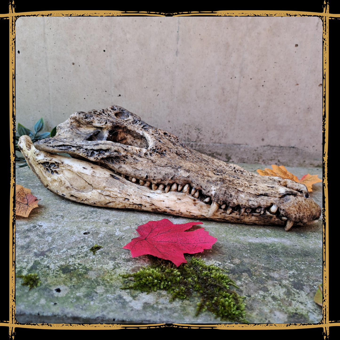 Skull Crocodile