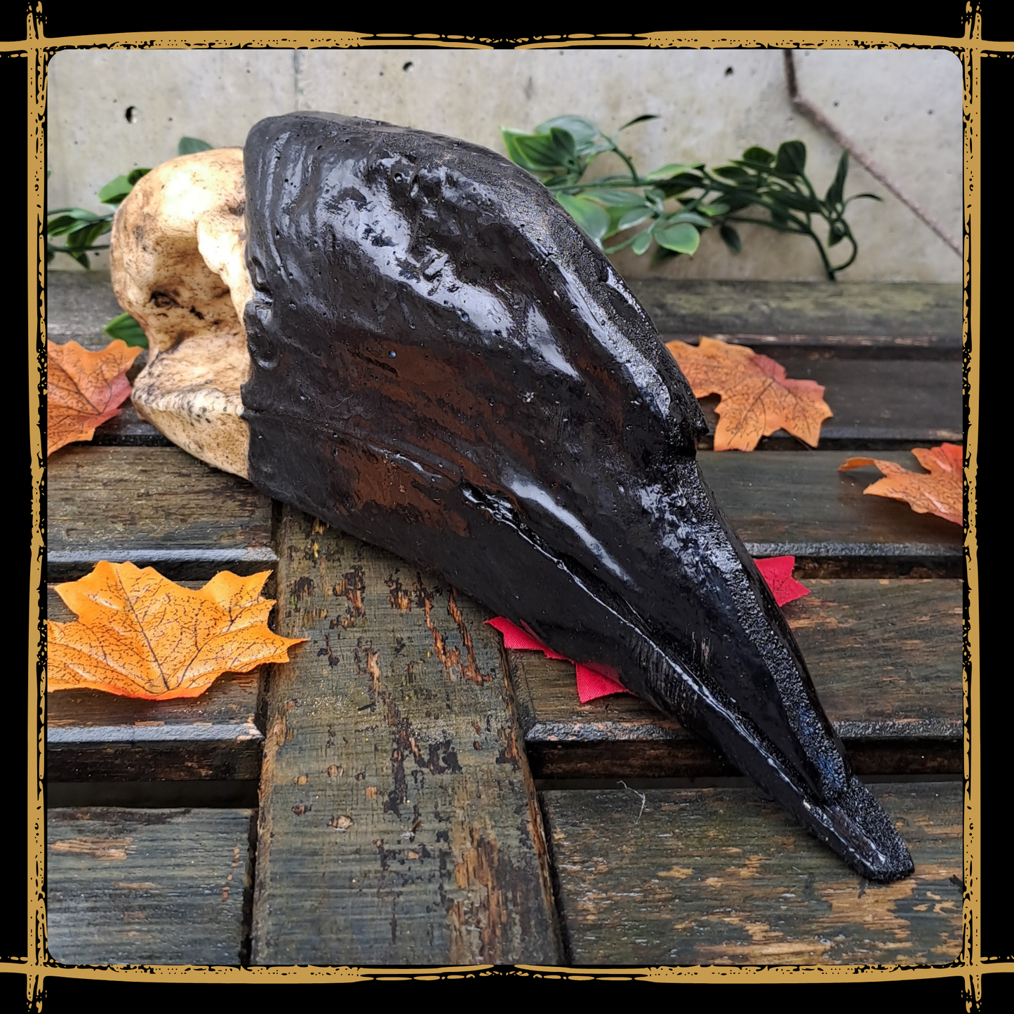 Skull Hornbill