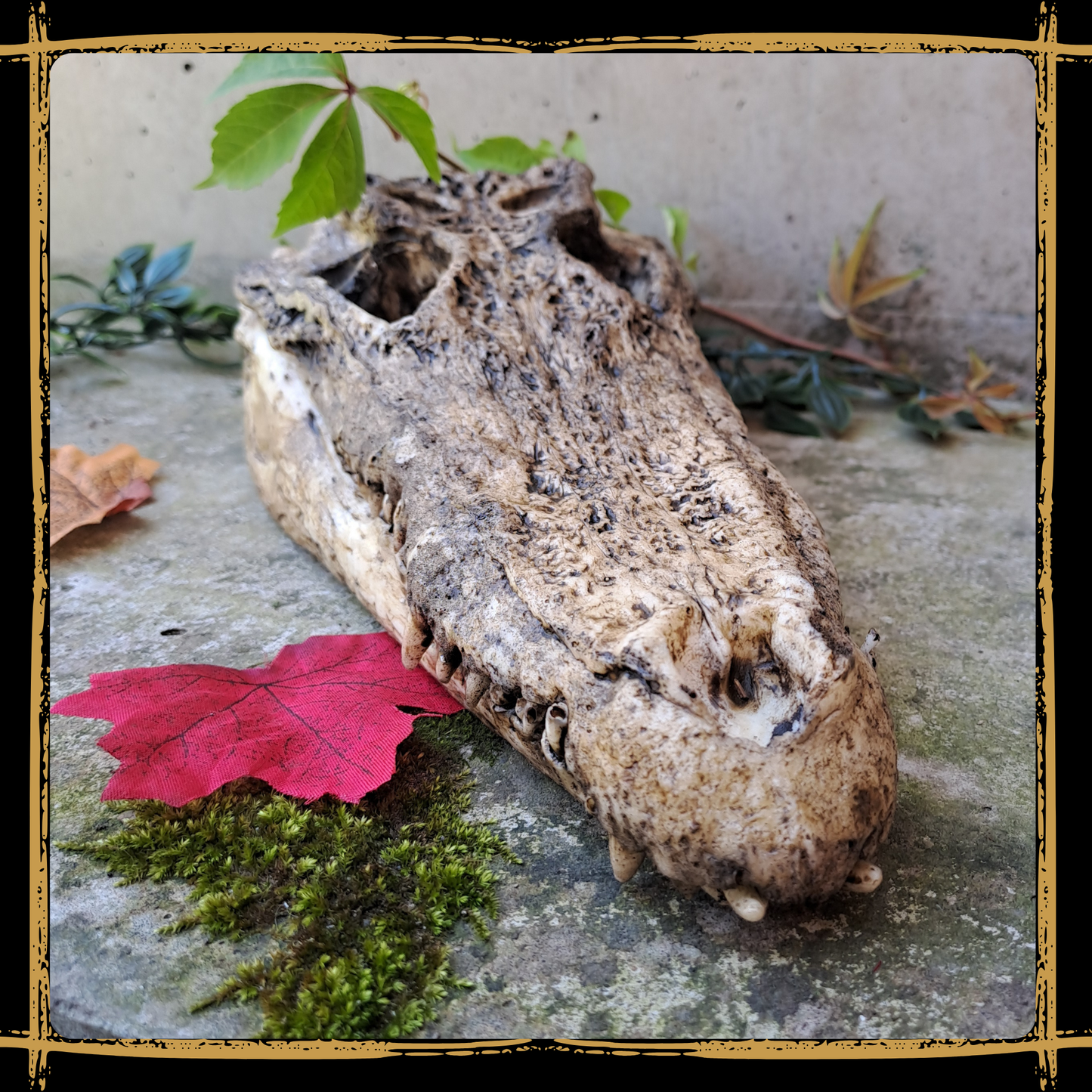 Skull Crocodile
